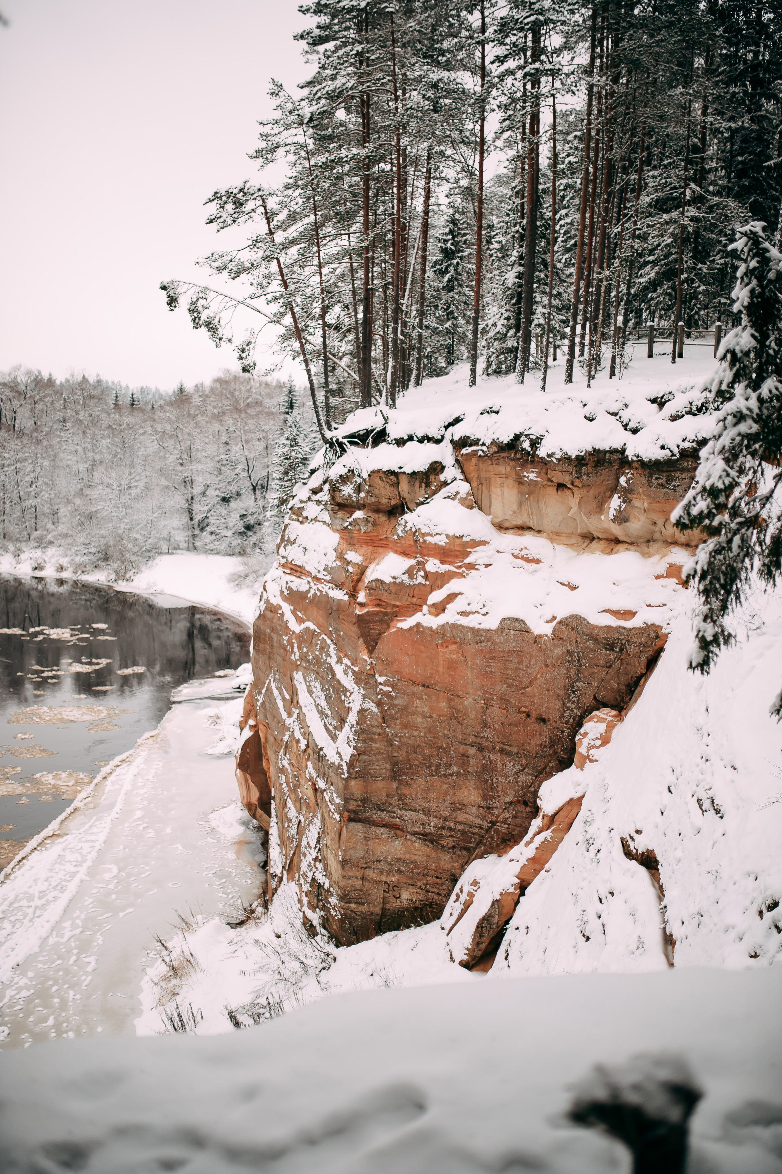 Elija. Fotogrāfe Līga Vaidere