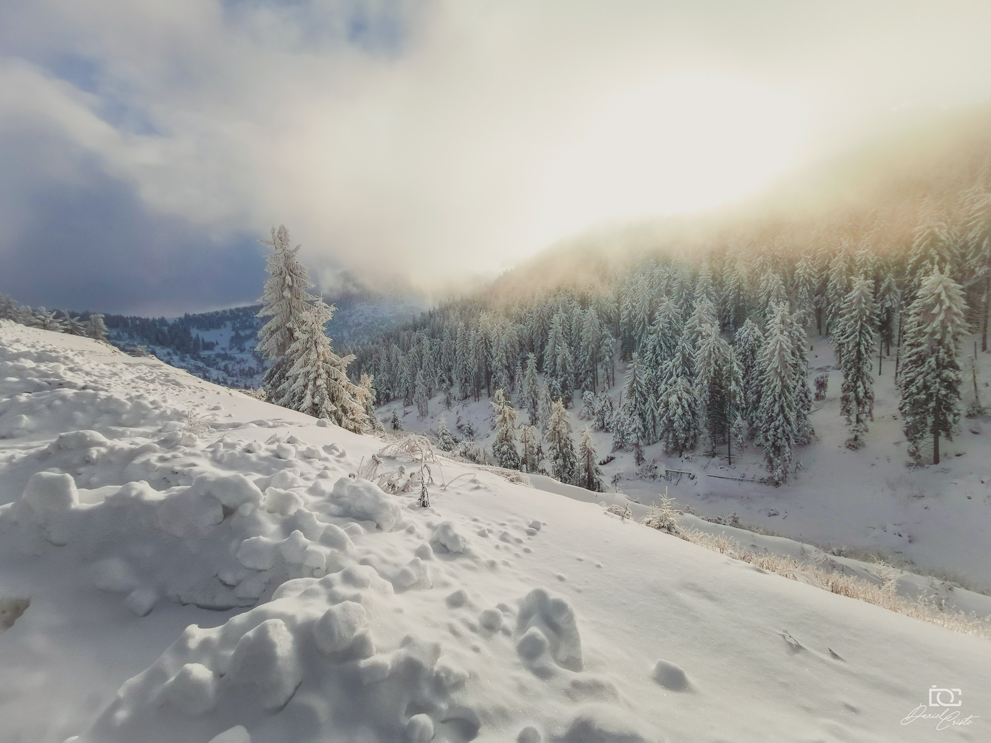 Peisaj /natura. Daniel Criste Fotograf