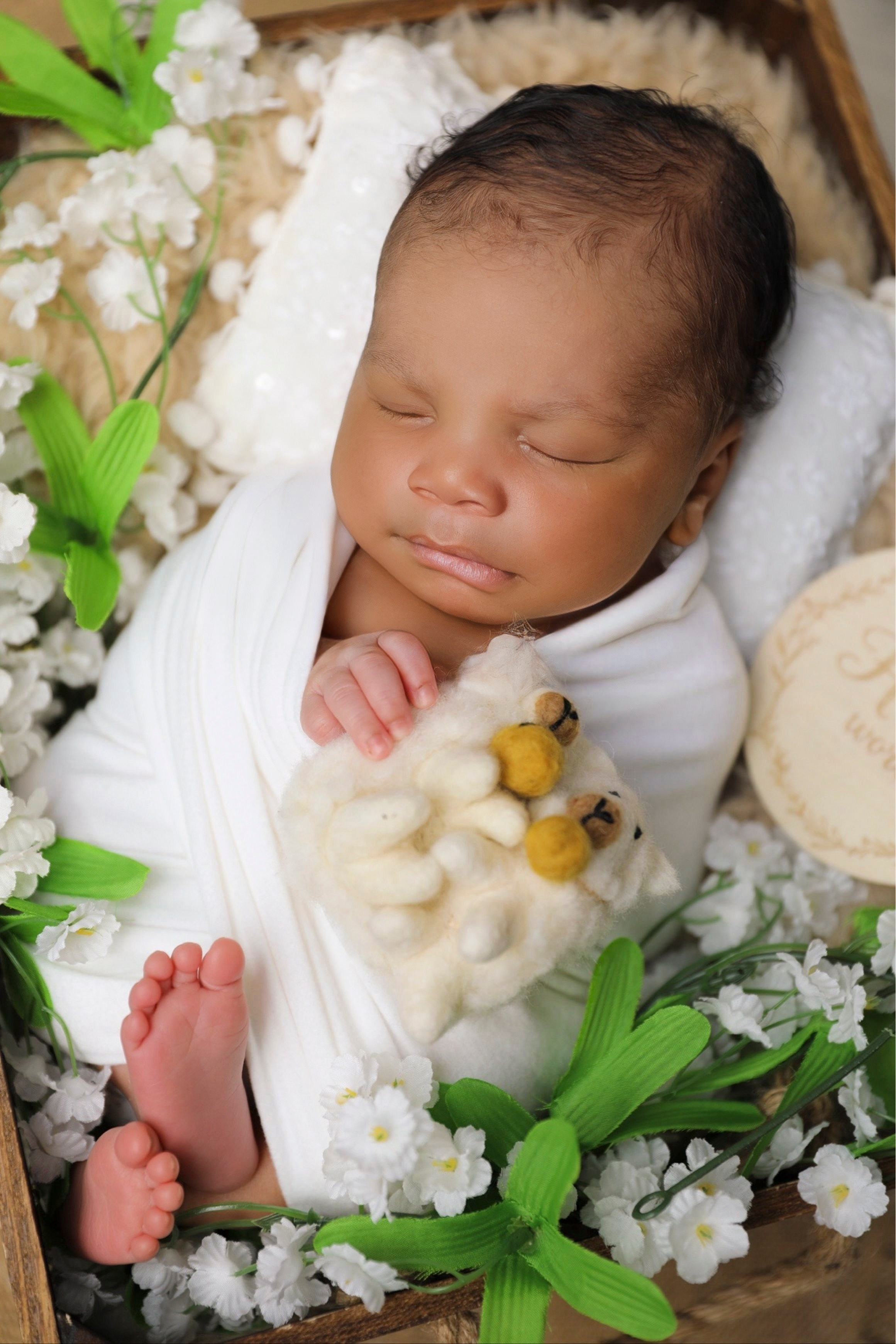 Setup Sample. AP Lens Photography | Newborn, Maternity, Milestone & Family Photographer Little Elm TX