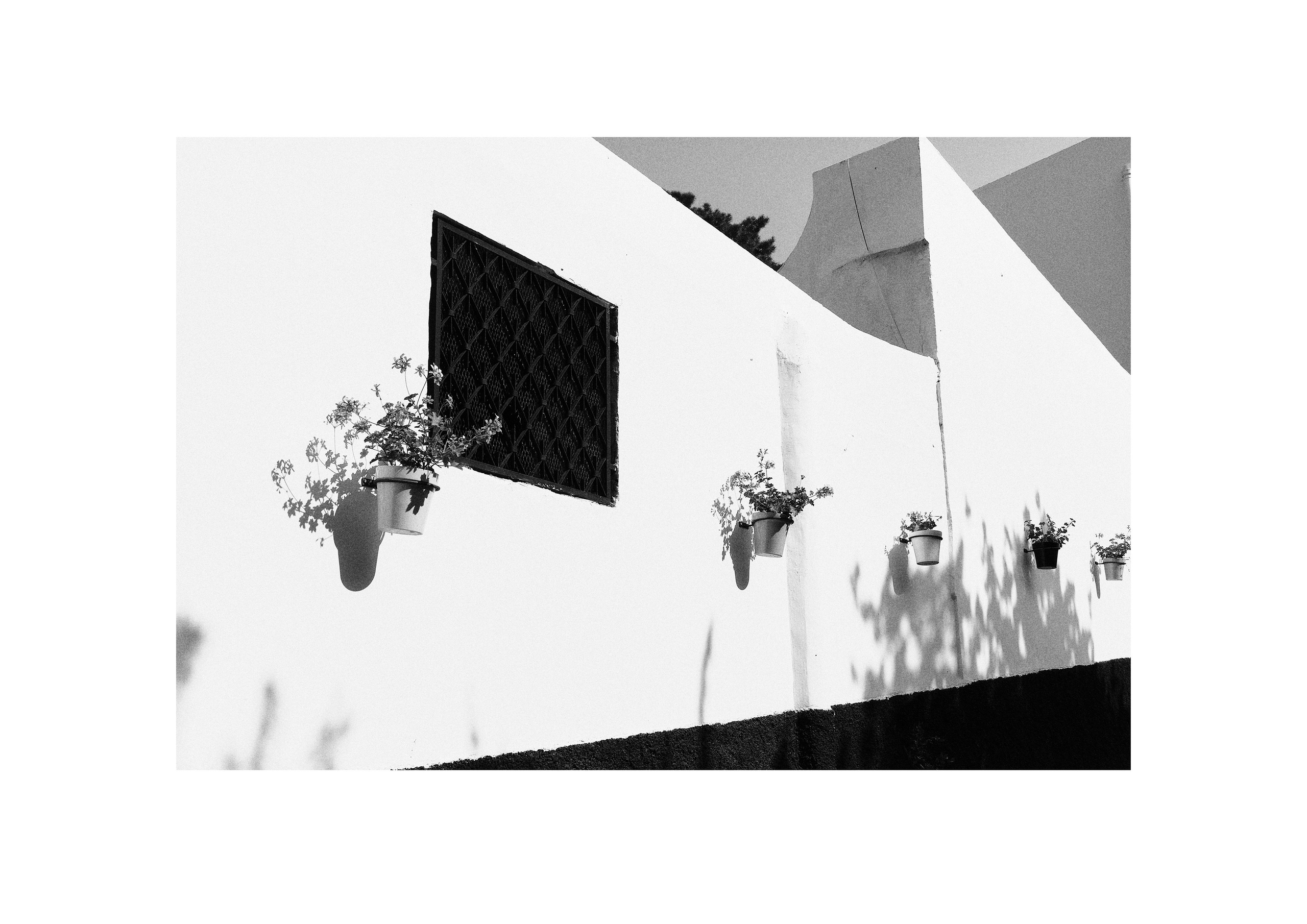 B&W. Cinema that you’ll never see