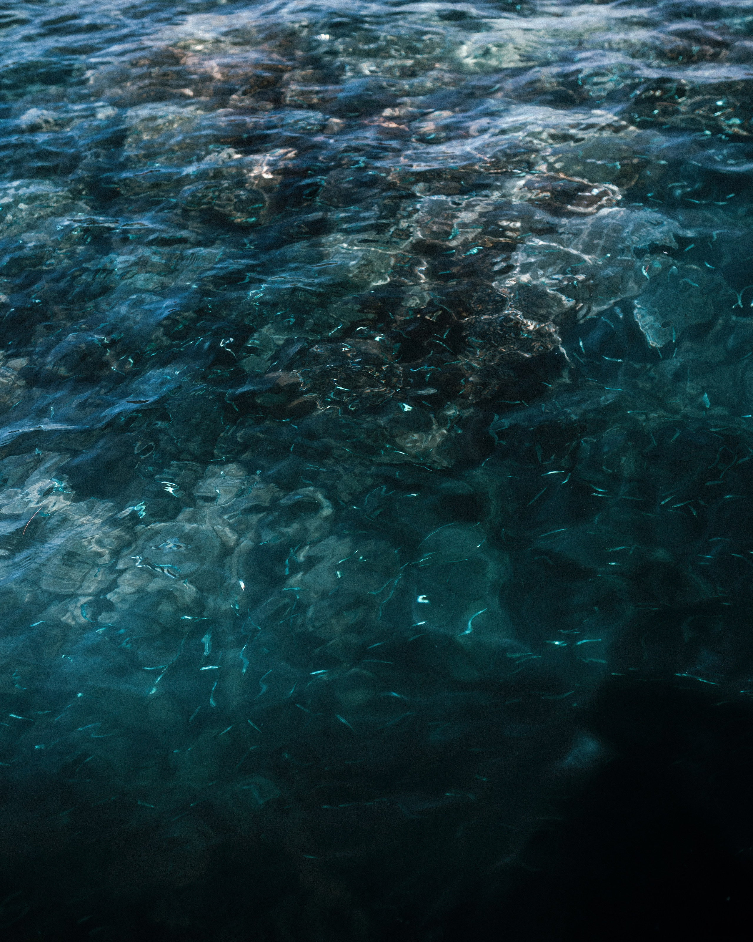 Photography. ODIX Creative