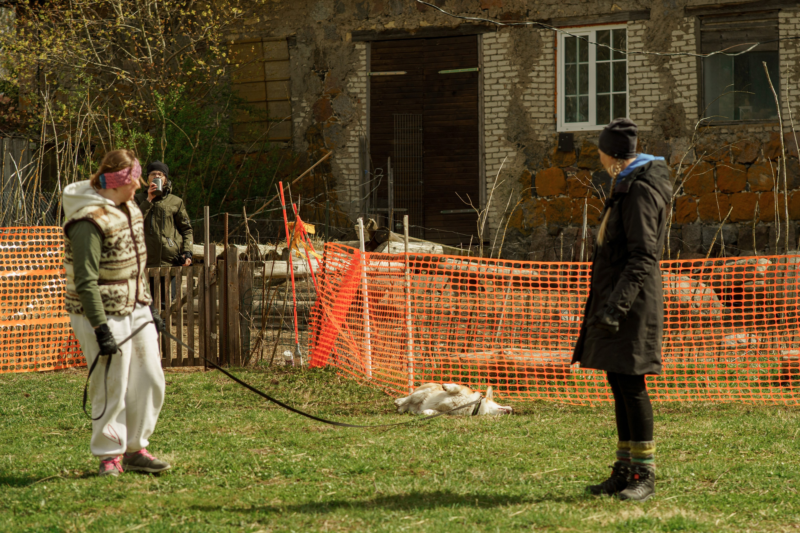 Herding Days, 26 apr. 2025. Kat Laisaar — Pet photographer in Tallinn