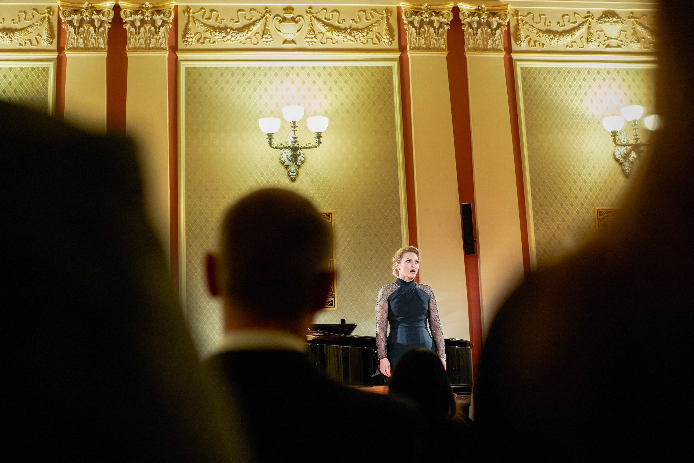 Concert & PR Portraits Rudolfinum