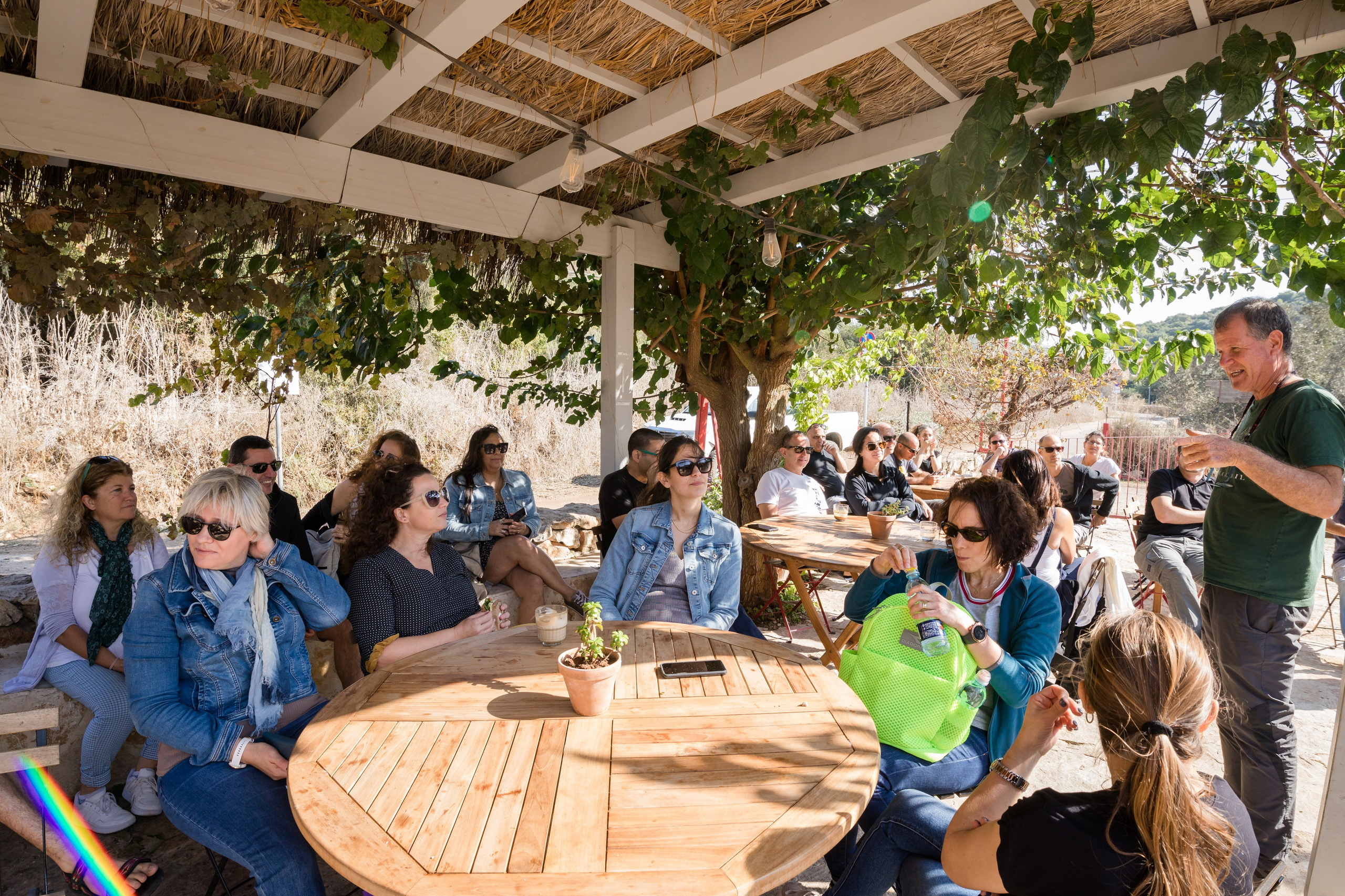 זרעי גדרה — SYNGENTA. AMIR BUCHNIK PHOTOGRAPHER