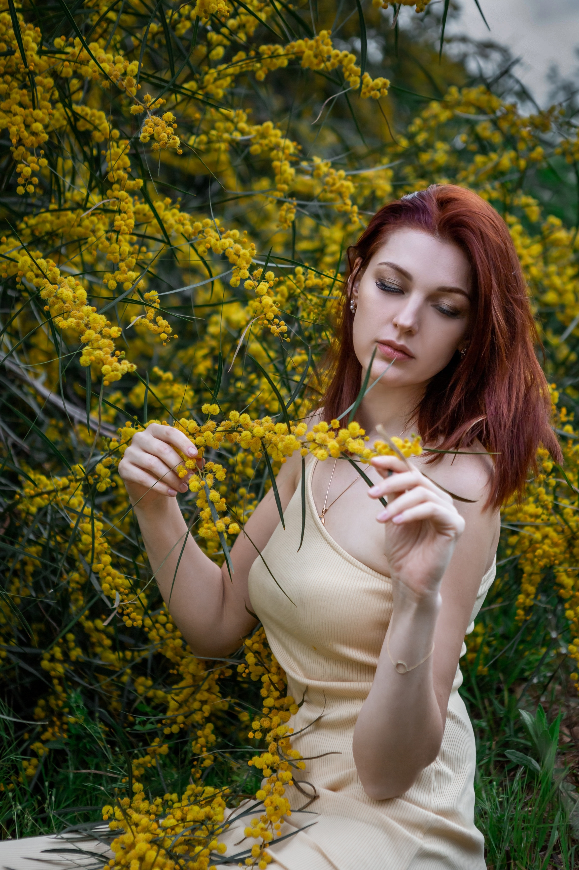 Мимоза. Фотограф в Анталии, Кемере и Белеке