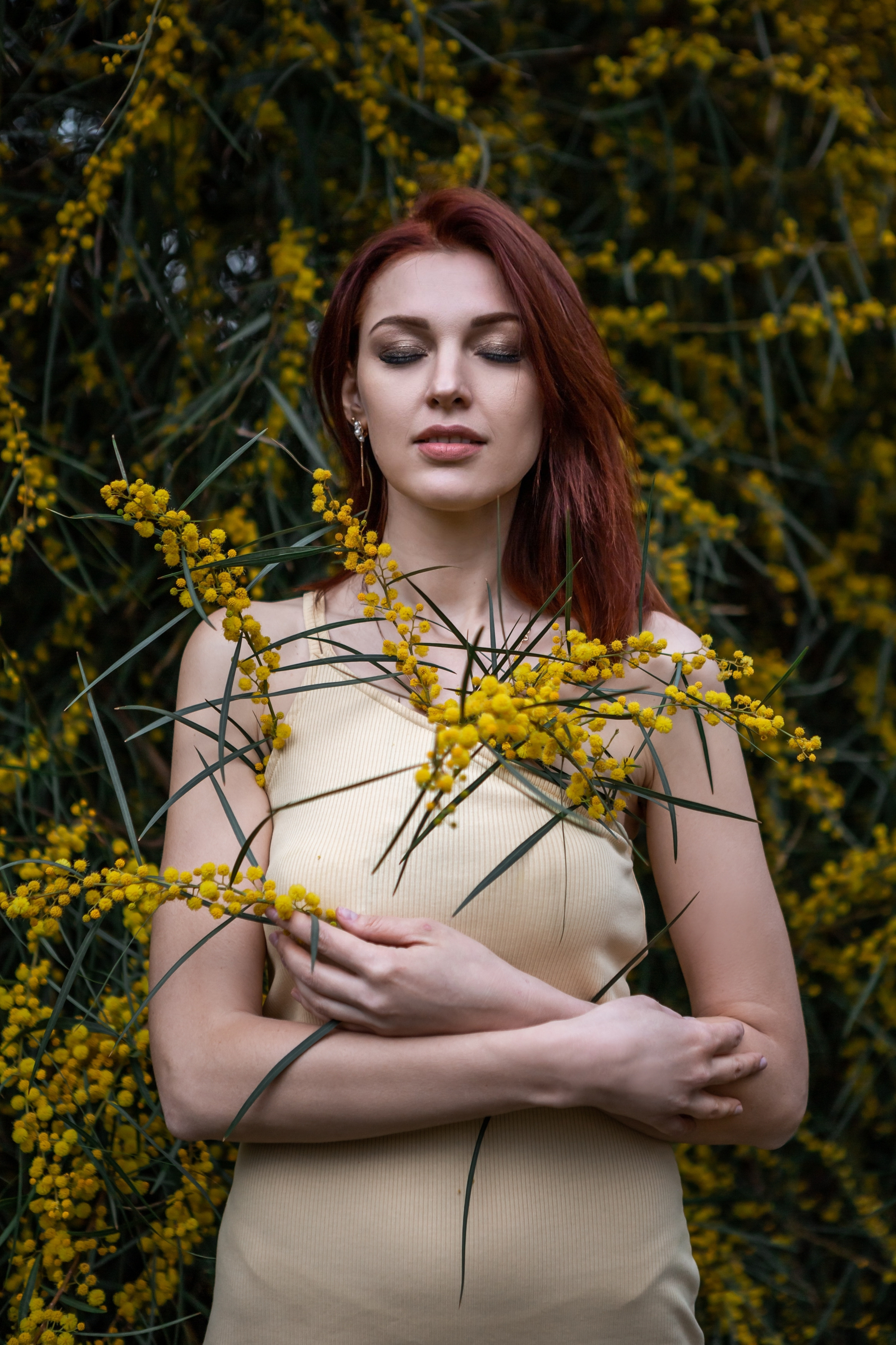 Мимоза. Фотограф в Анталии, Кемере и Белеке