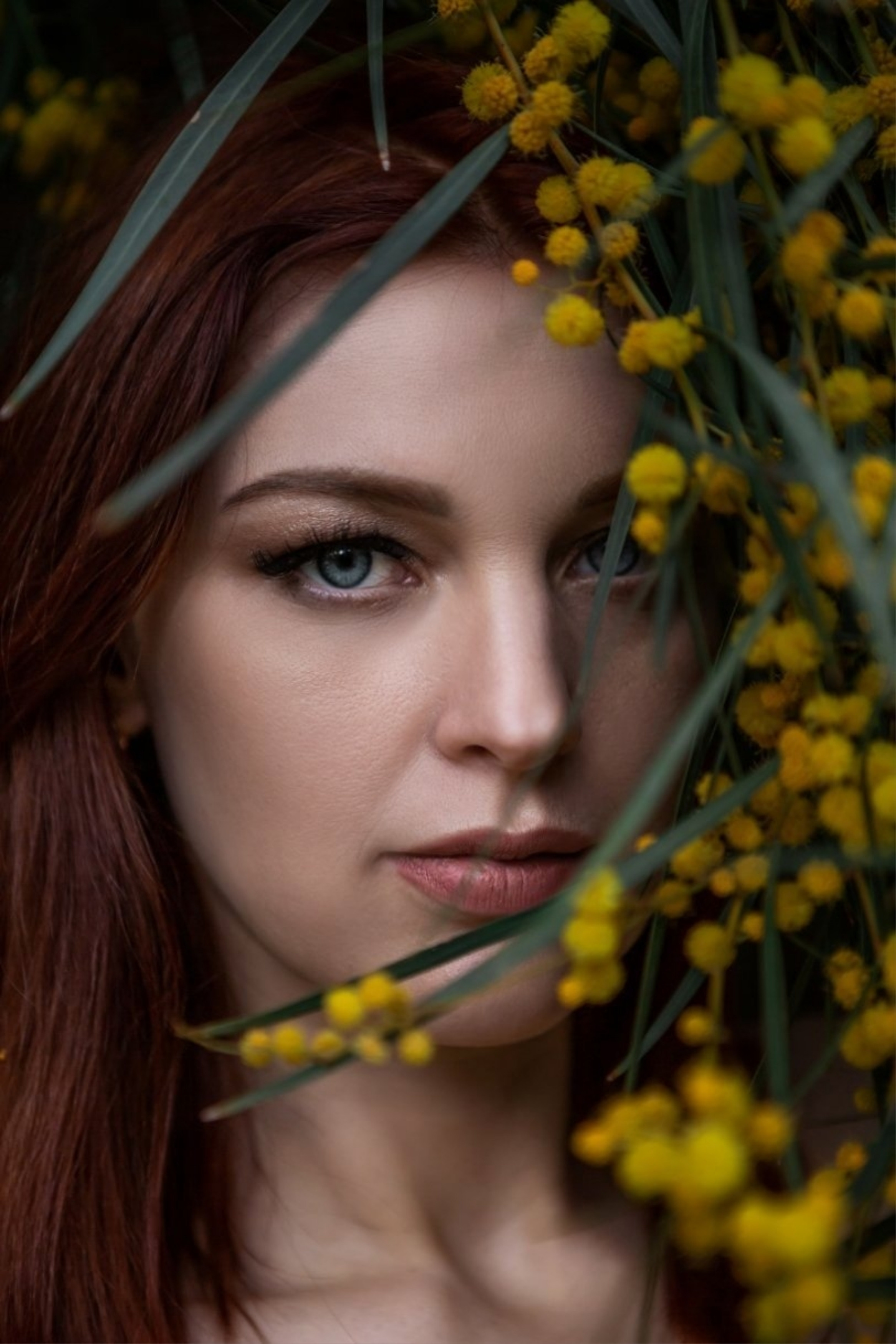 Мимоза. Фотограф в Анталии, Кемере и Белеке