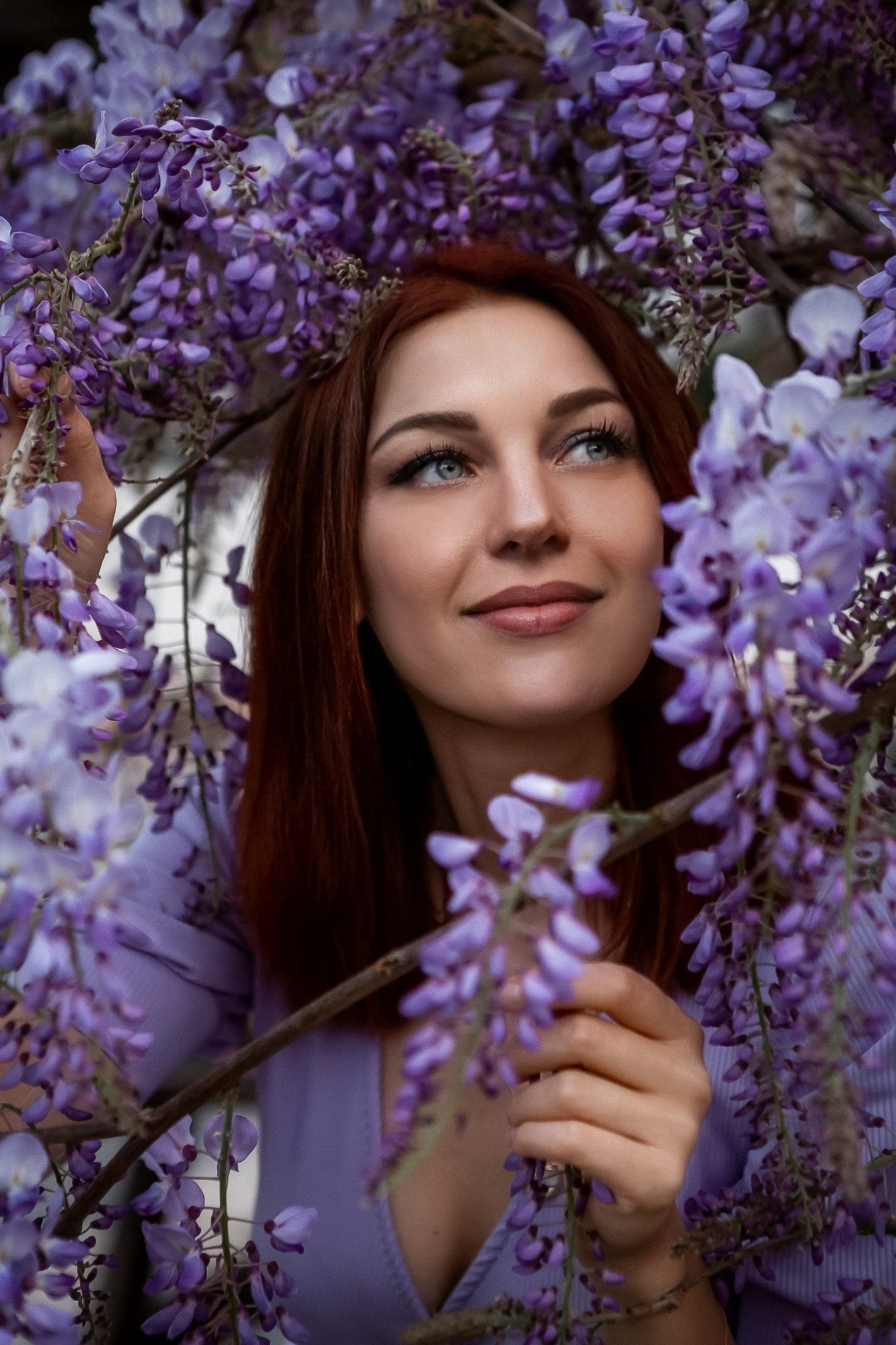 Глициния. Фотограф в Анталии, Кемере и Белеке