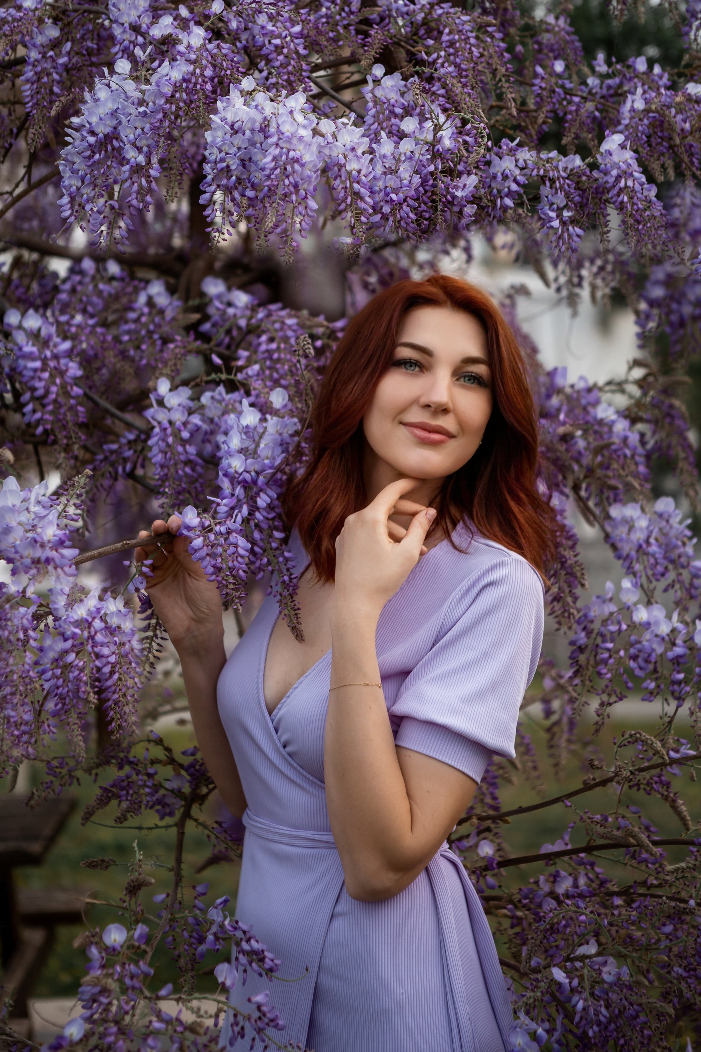 Глициния. Фотограф в Анталии, Кемере и Белеке