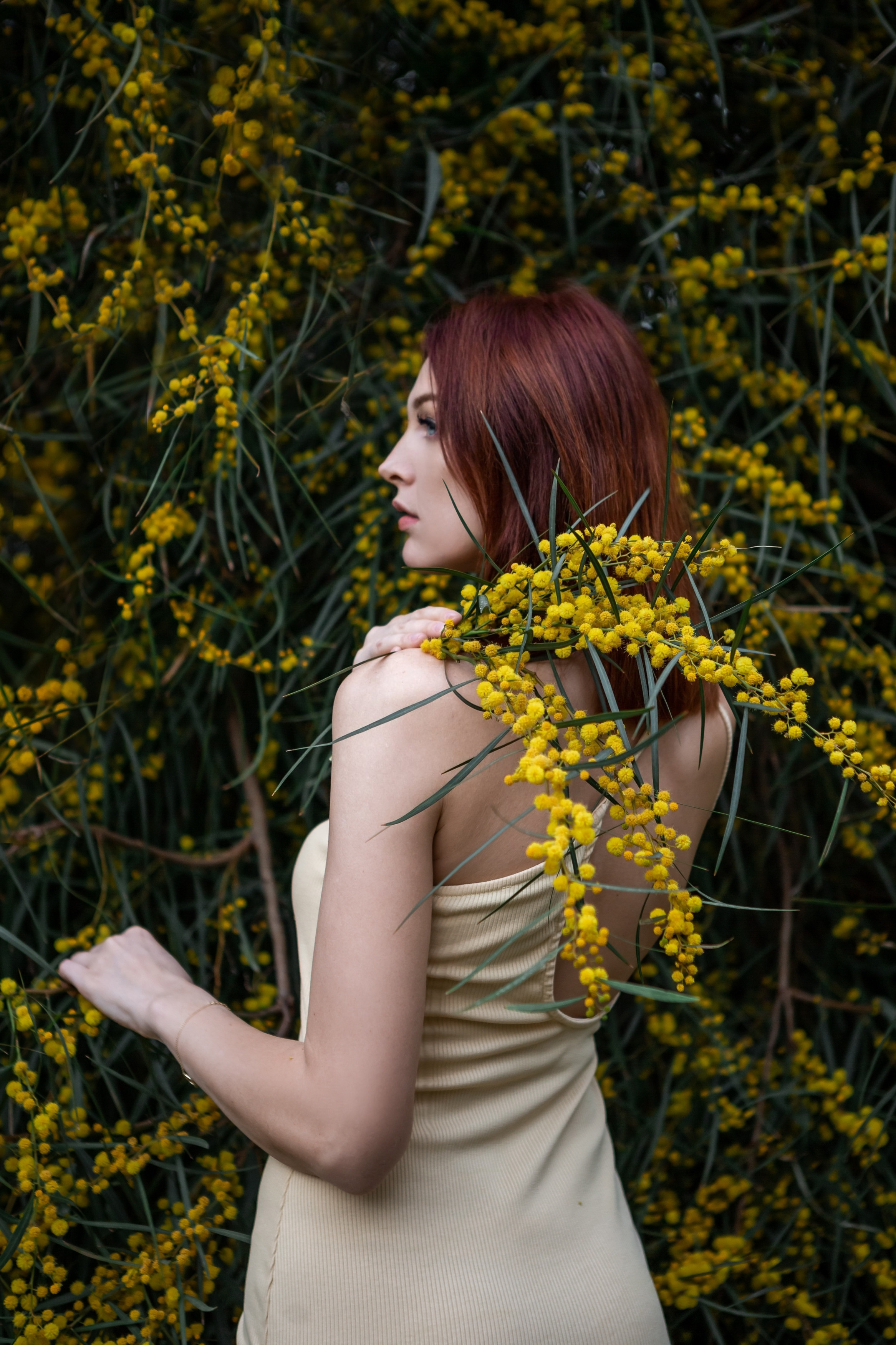 Мимоза. Фотограф в Анталии, Кемере и Белеке