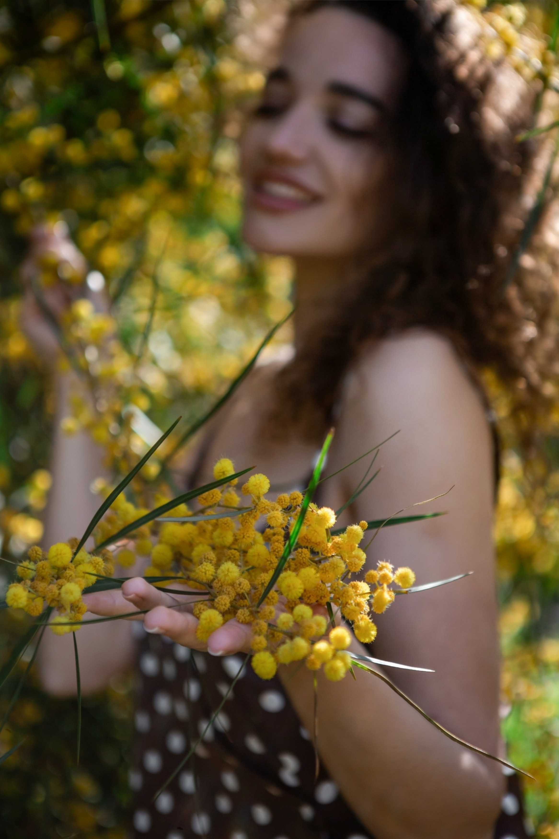 Мимоза. Фотограф в Анталии, Кемере и Белеке