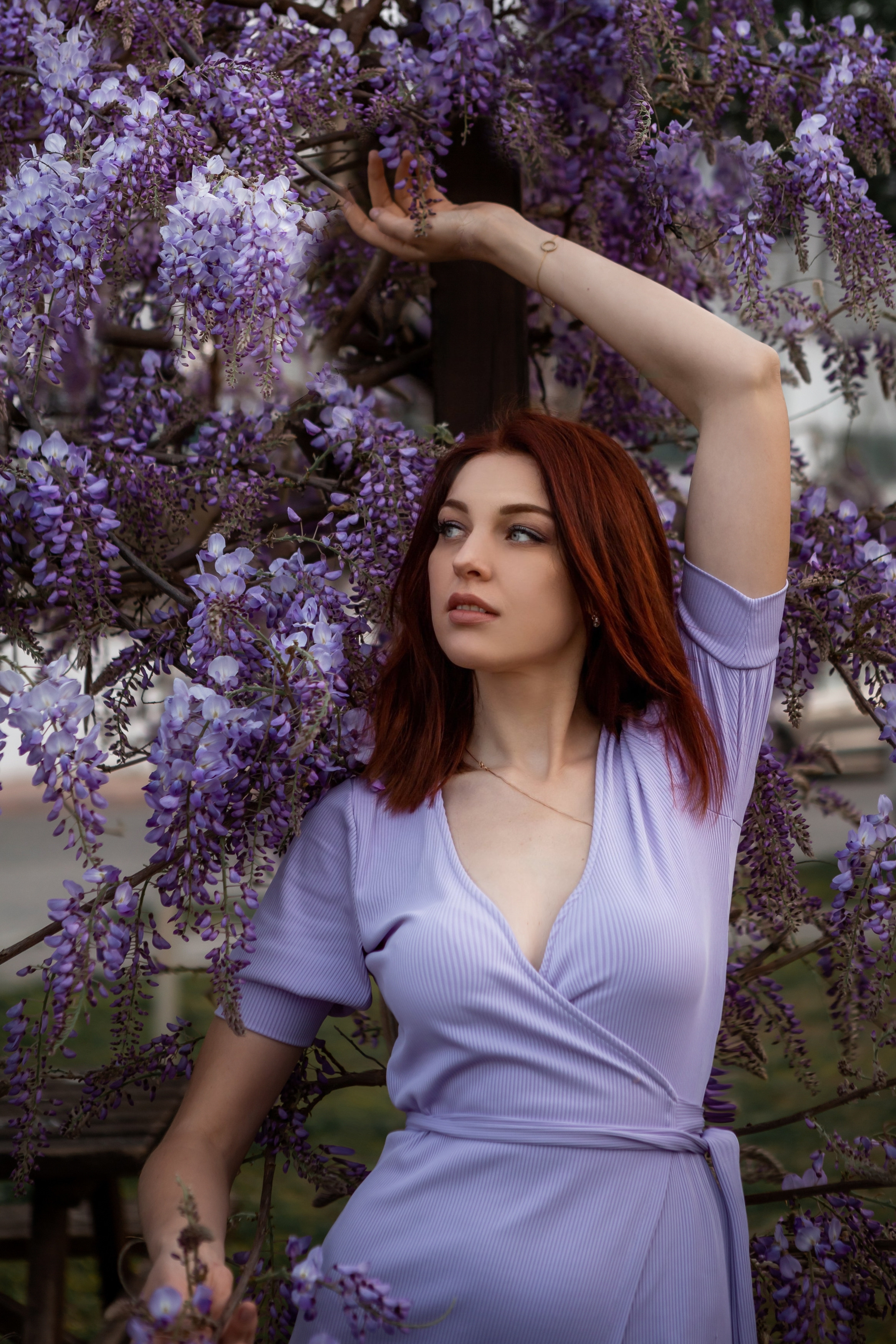 Глициния. Фотограф в Анталии, Кемере и Белеке