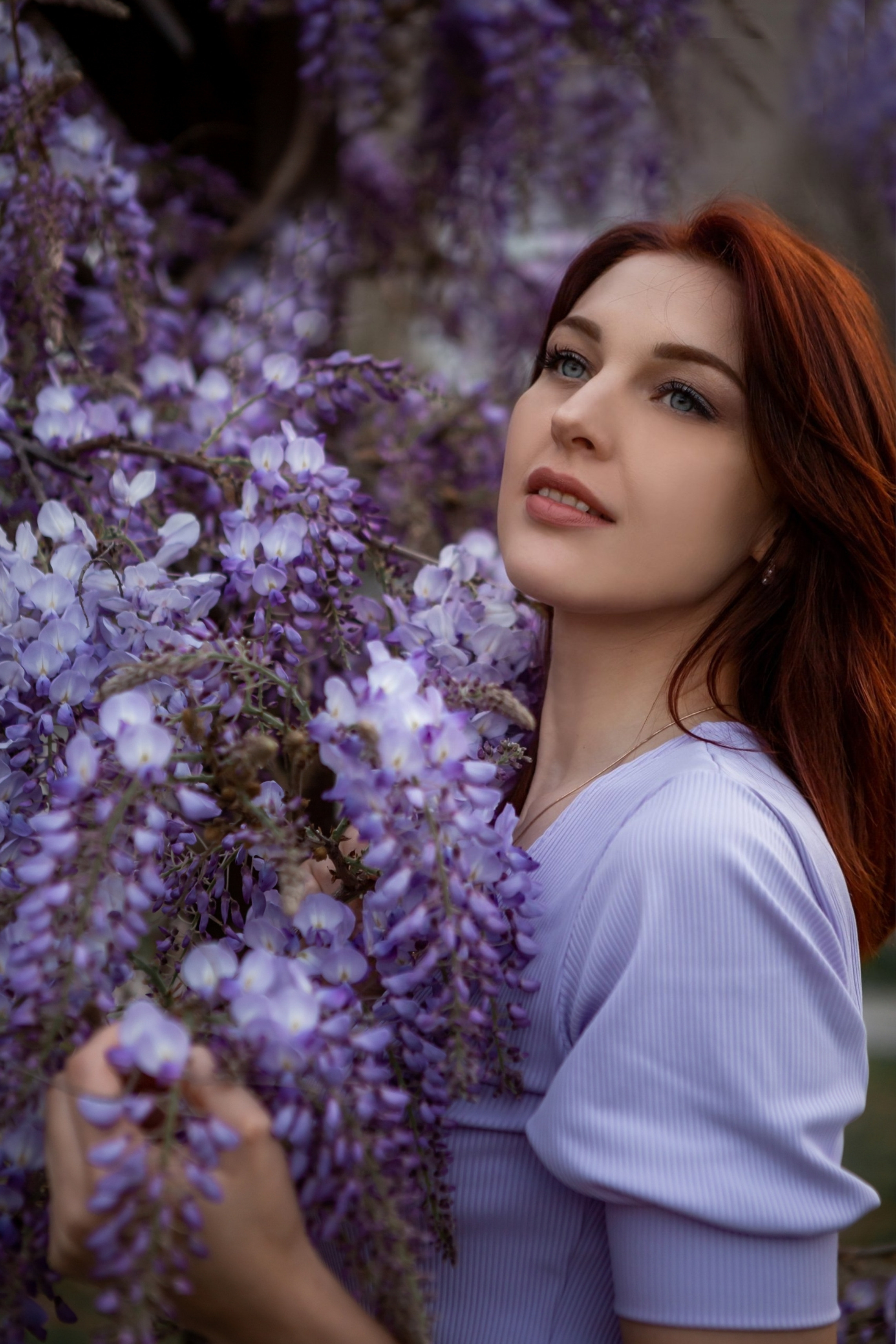 Глициния. Фотограф в Анталии, Кемере и Белеке