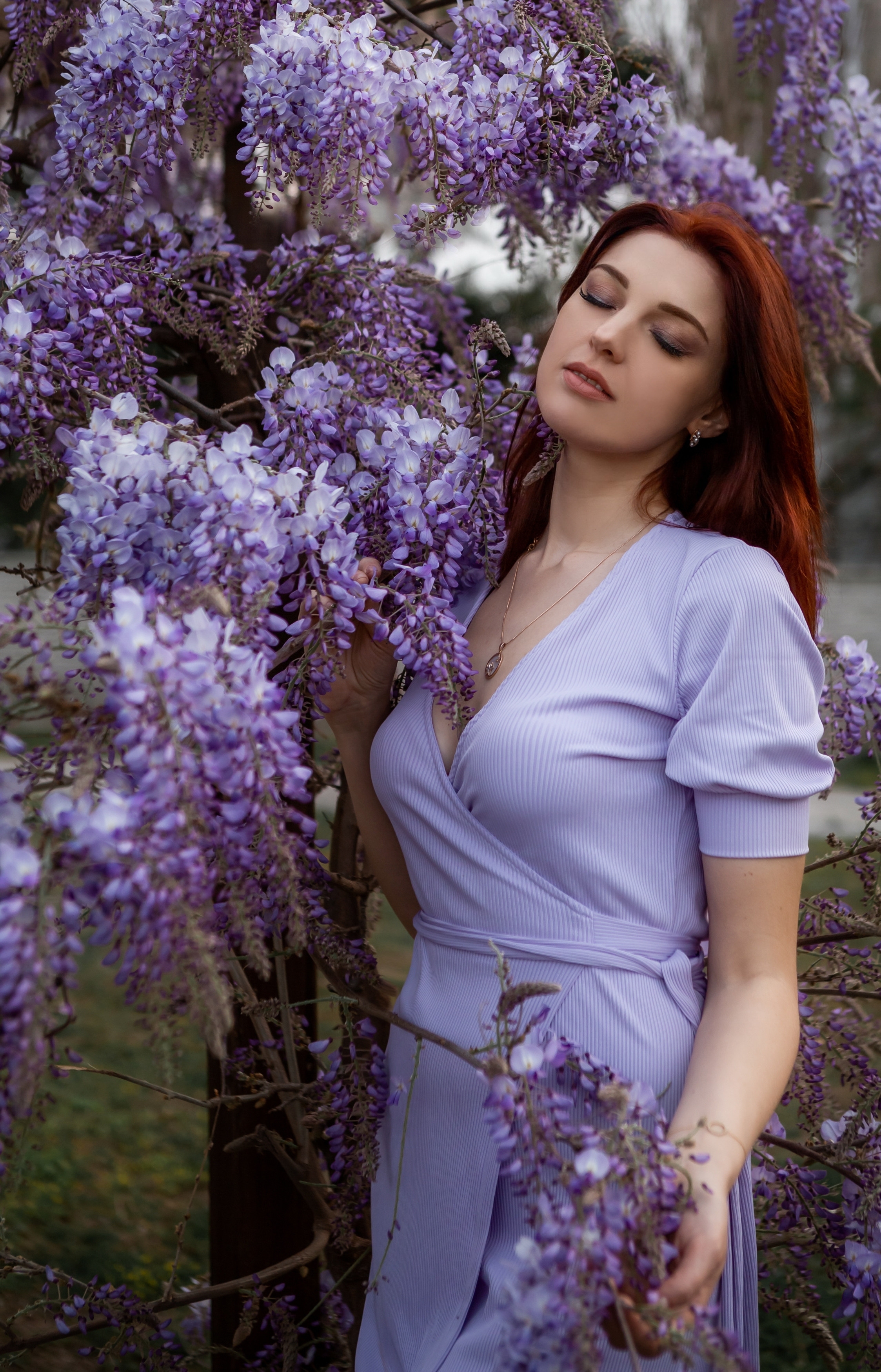 Глициния. Фотограф в Анталии, Кемере и Белеке