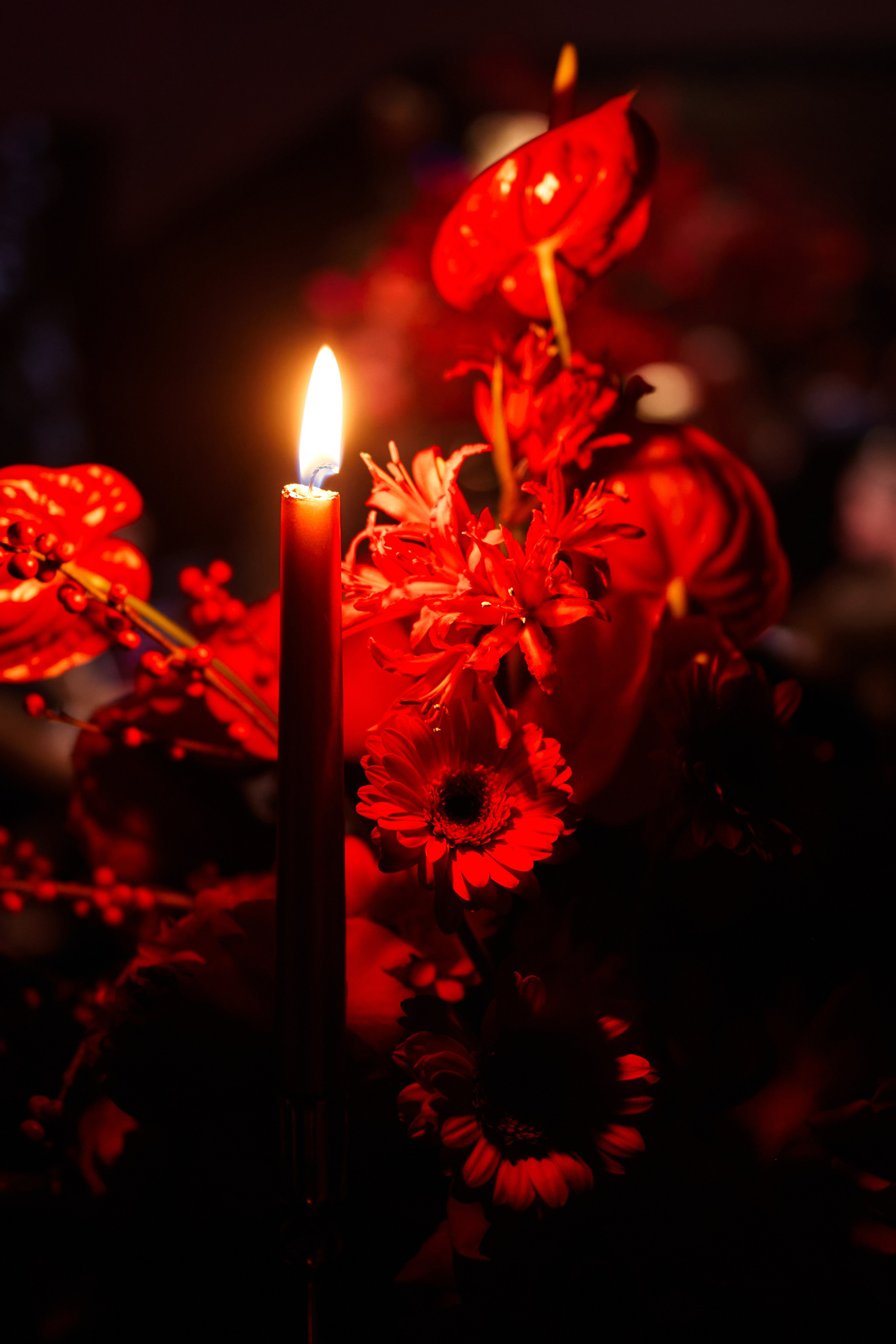 Новогодний корпоратив. Свадебный и семейный фотограф в Риге Игорь Давидович