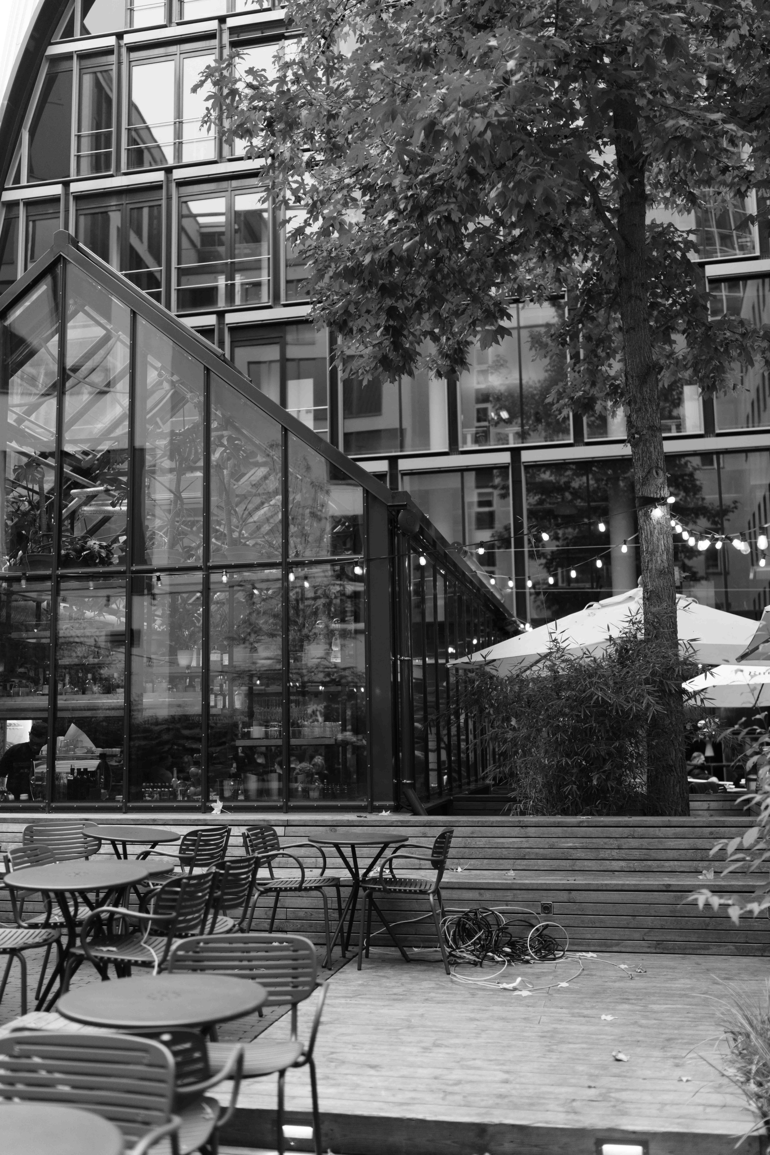 Света 41. Frenkel Nadja Fotograf in Darmstadt|Frankfurt|Wiesbaden