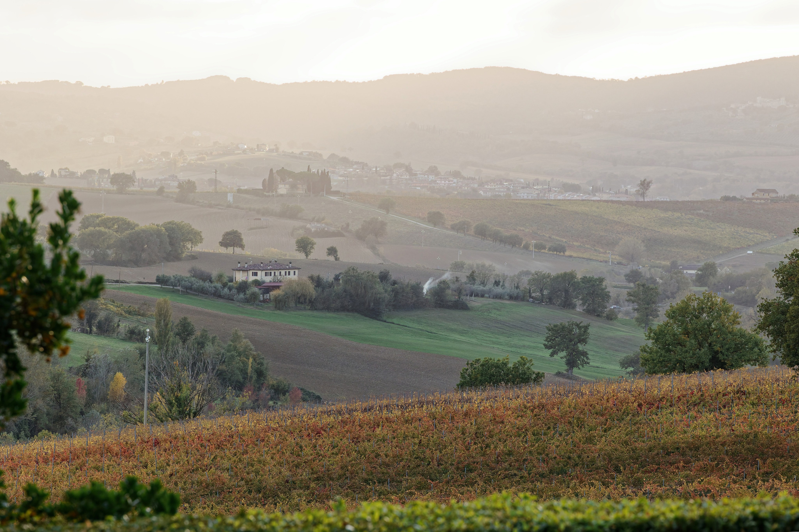 Wedding at Fonte Sala, Umbria Preview