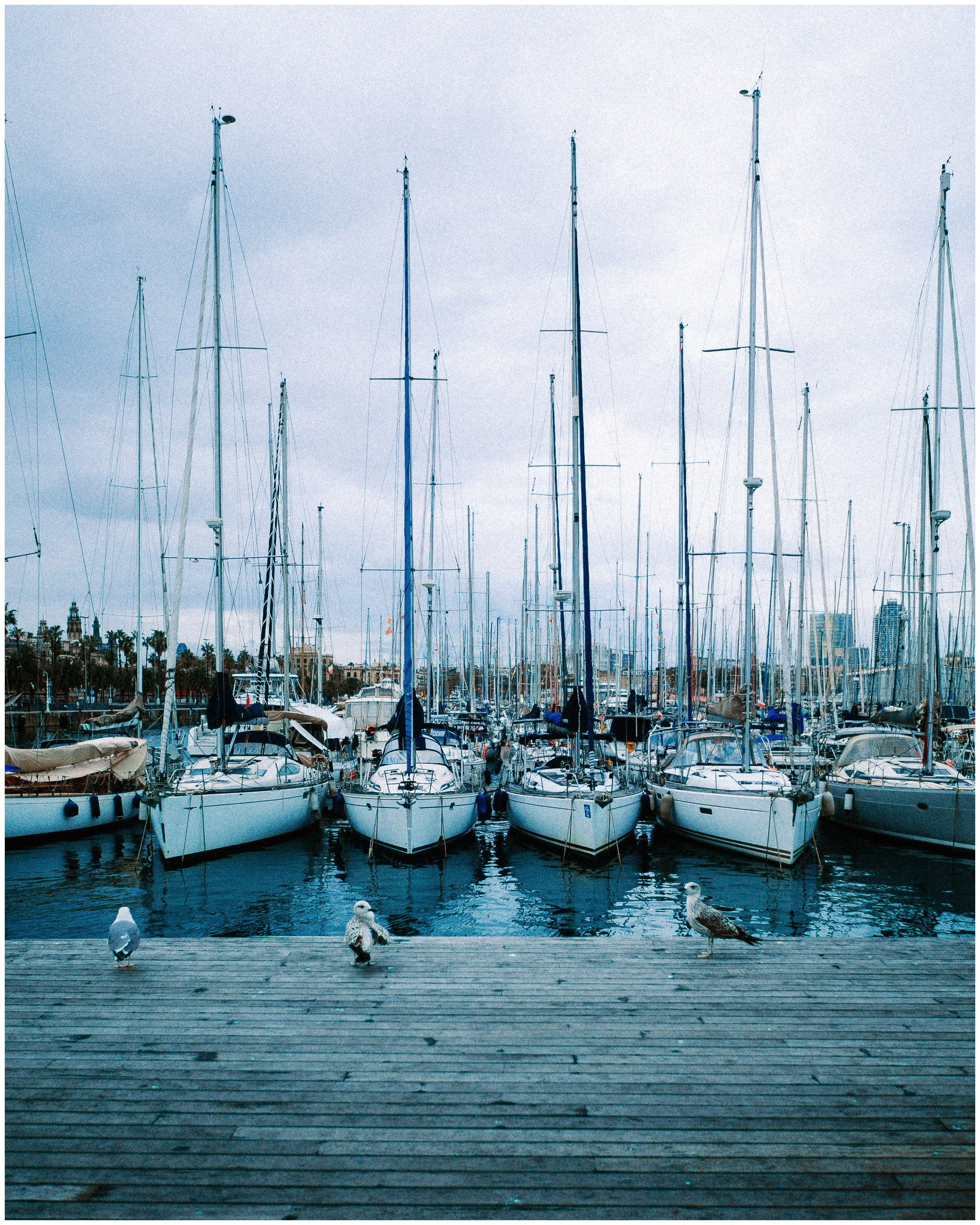 BARCELONA. Inna Mendelson — Photographer