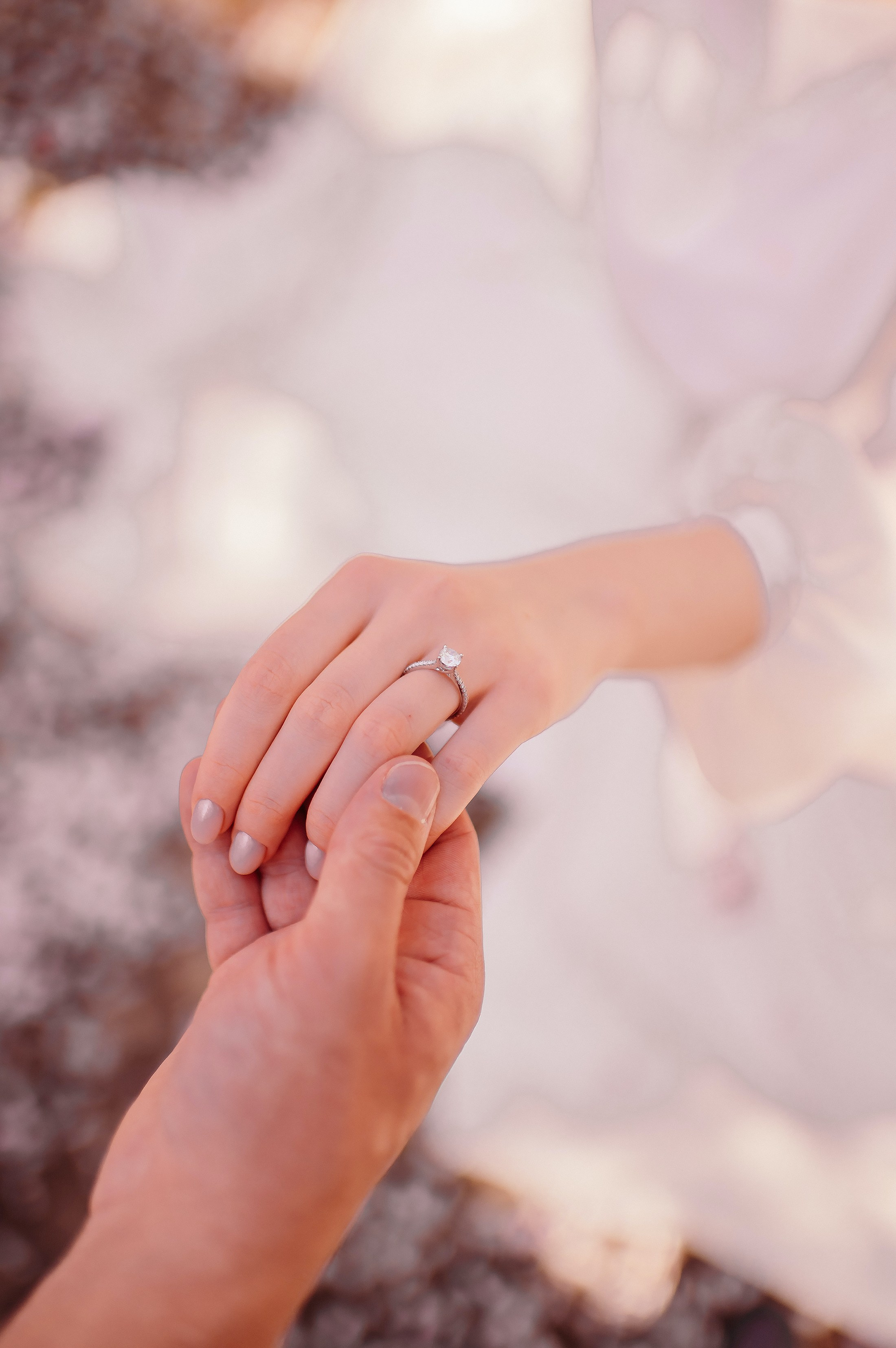 Proposal photographer in Charlotte. Wedding, maternity and family photographer in Charlotte Tasha Minn