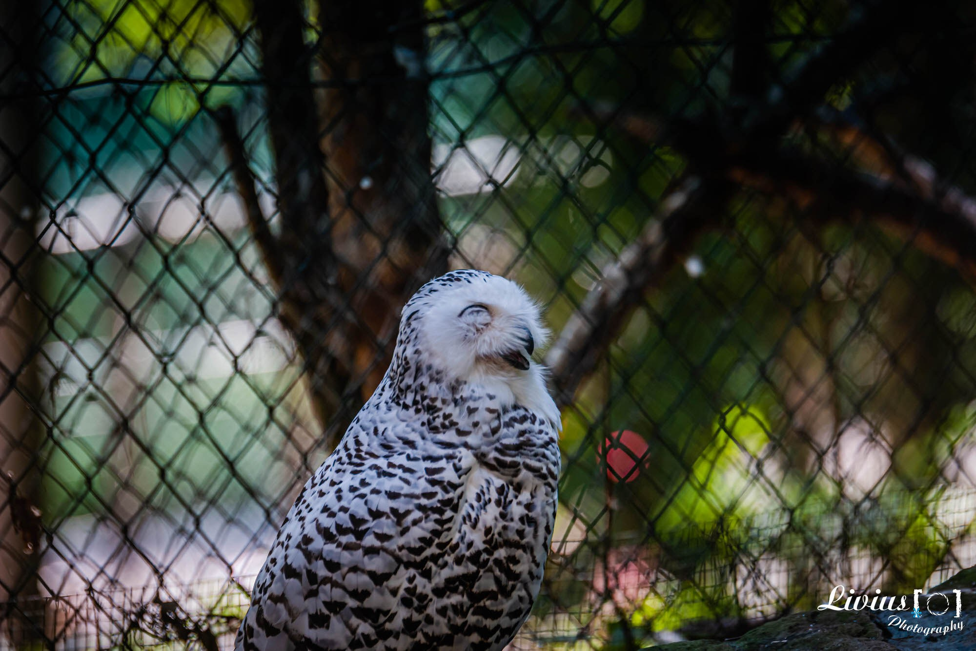 Tierpark Nürnberg. FOTO KREATIV