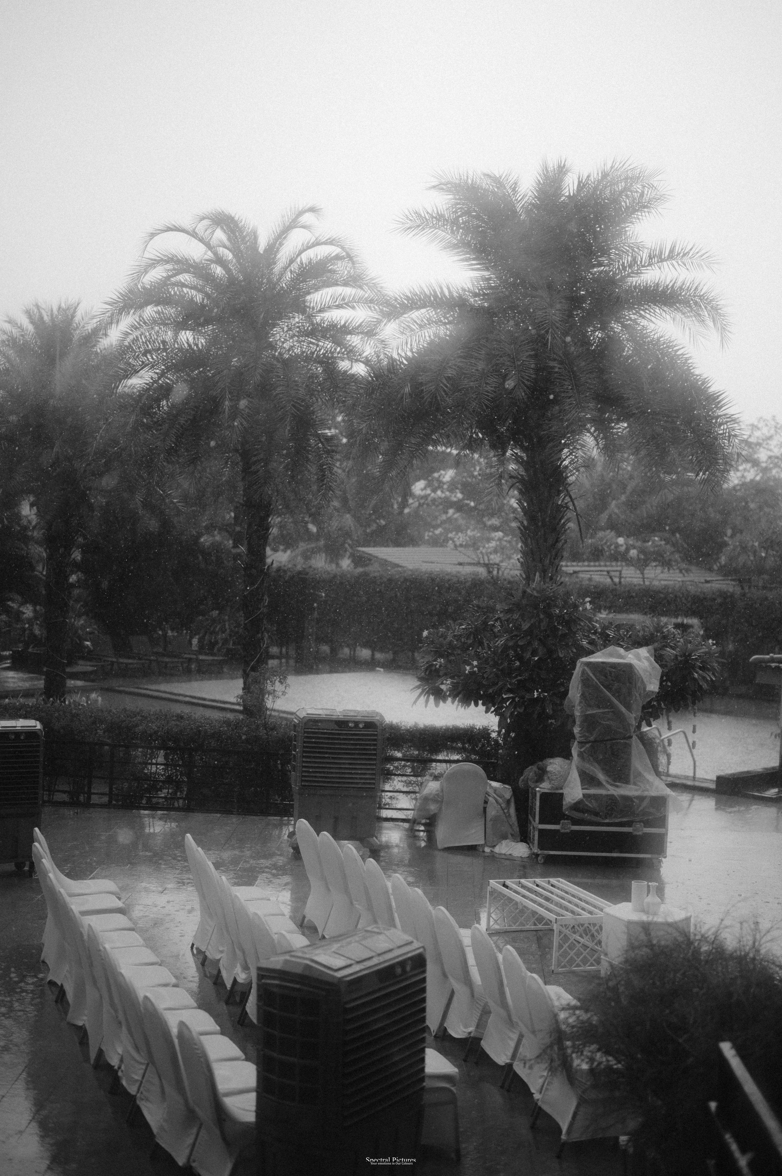 “Ankur & Malavika | Two States, One Soul”