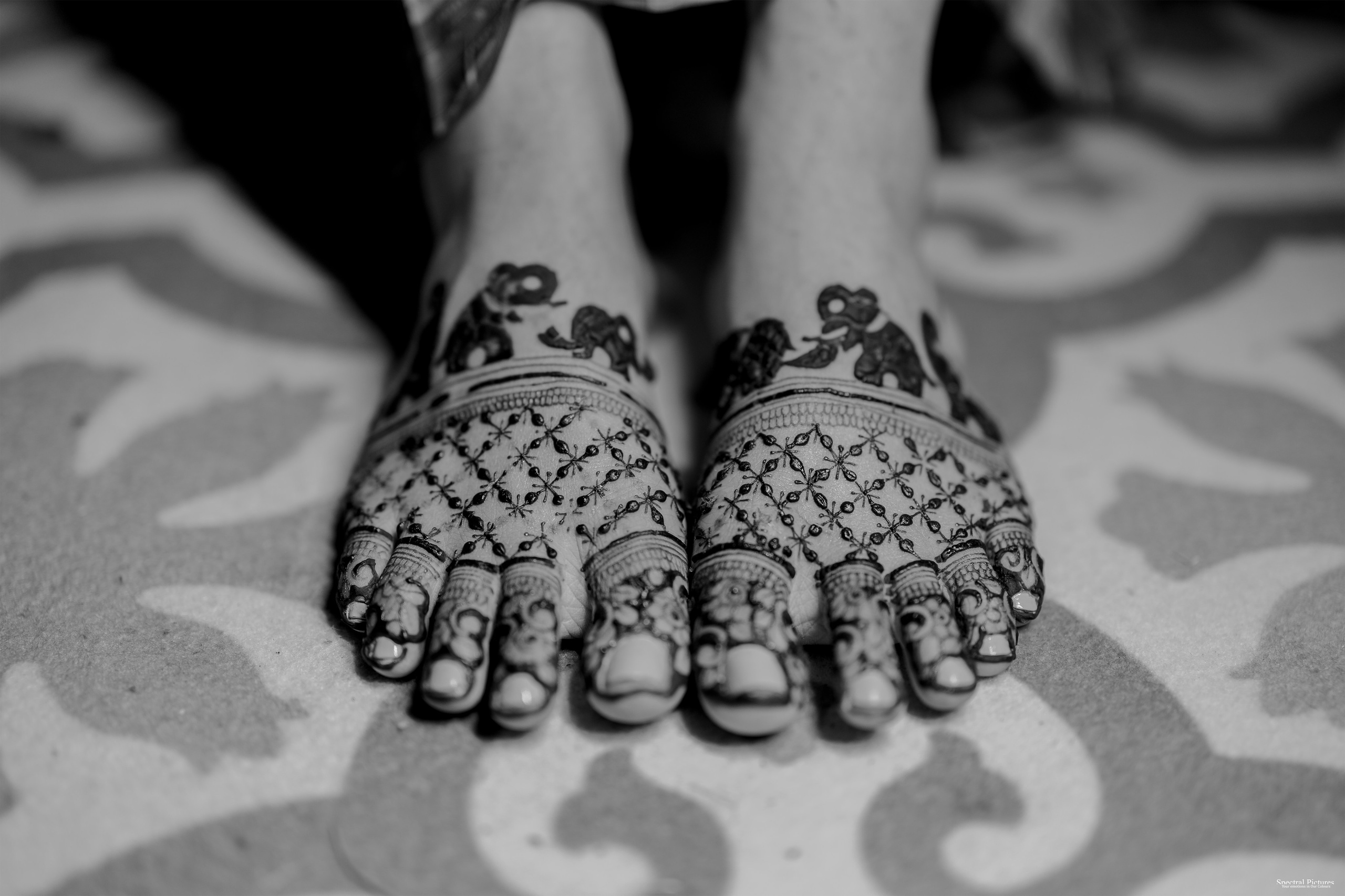 “Bob’s Bar to The Big Day — Starring Amulya & Aditya”