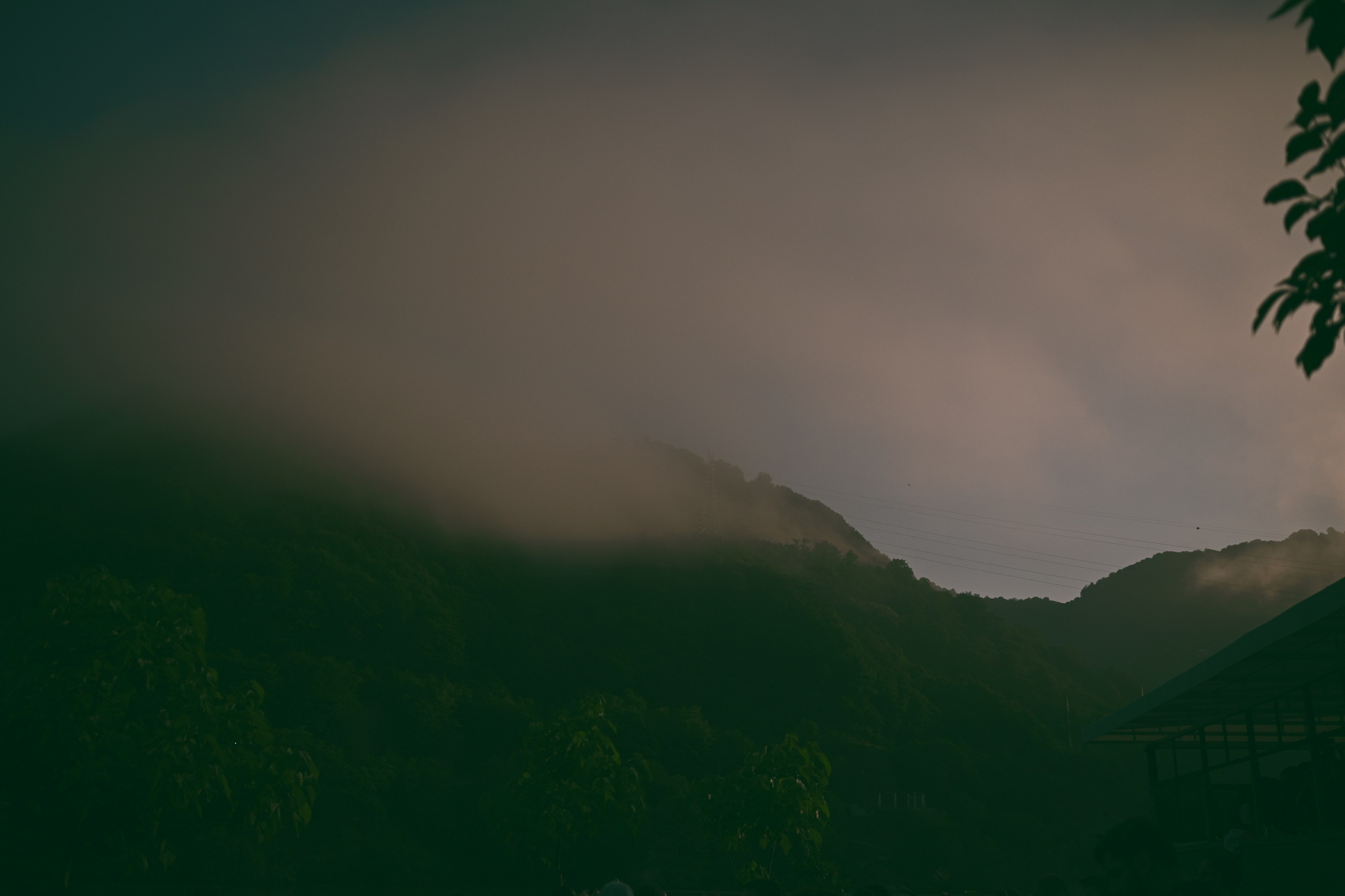 Event. Photographer vakho