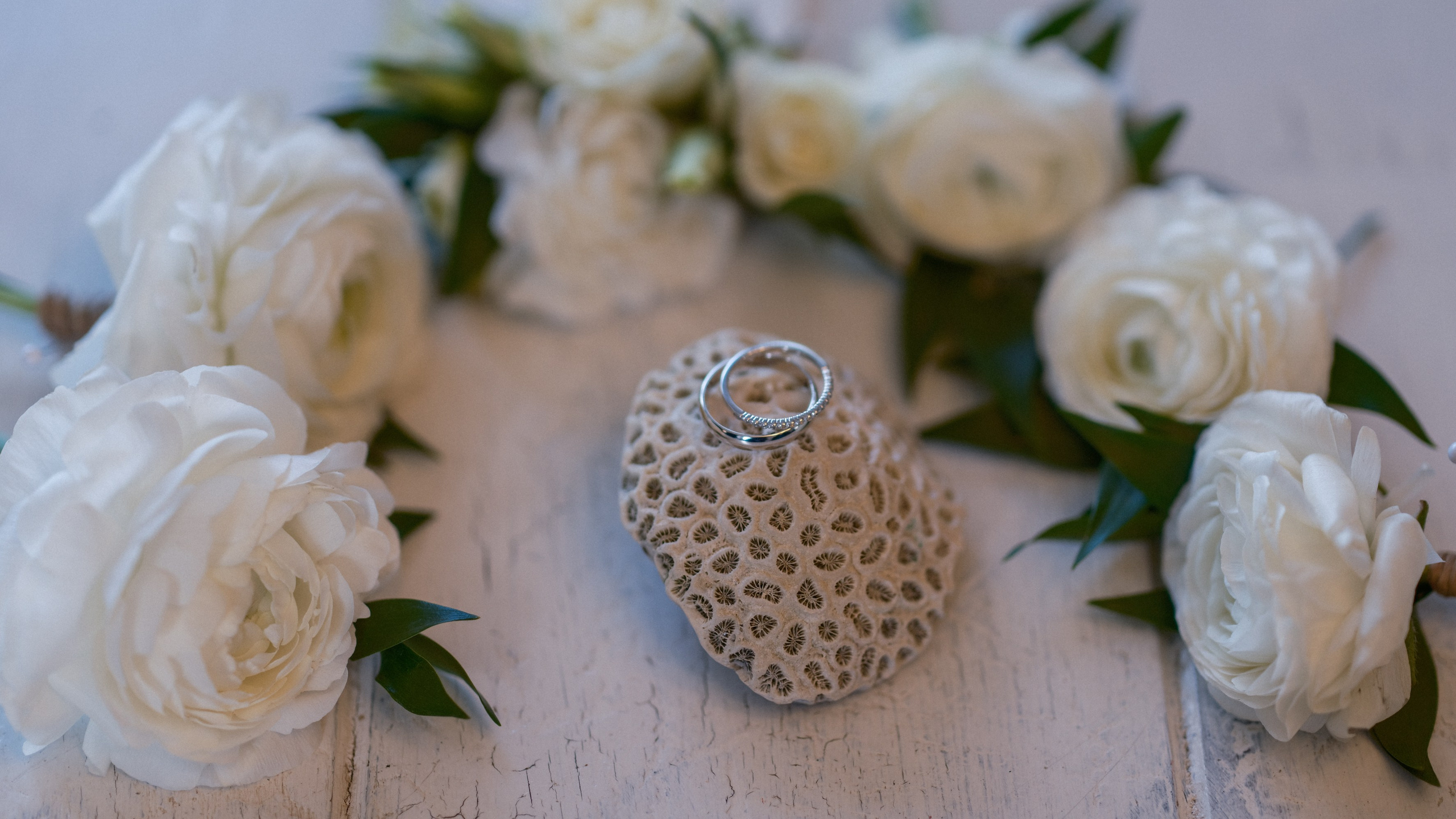 LIV AND OSCAR. Florida destination wedding photographer