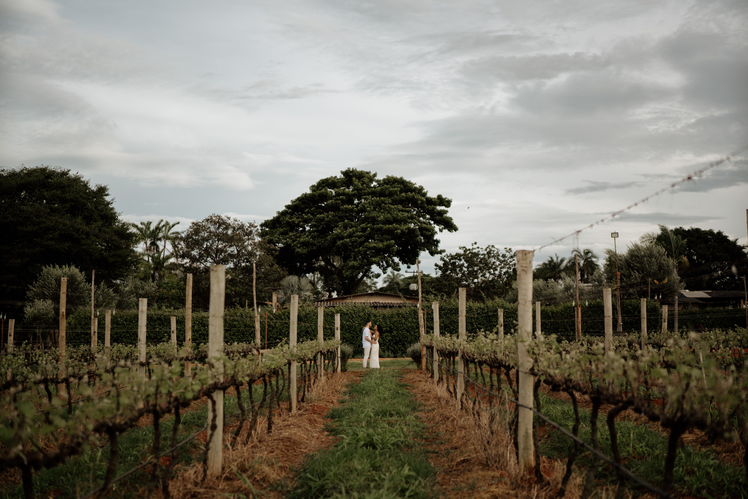 Paloma & Nikolas. Congiu Wedding