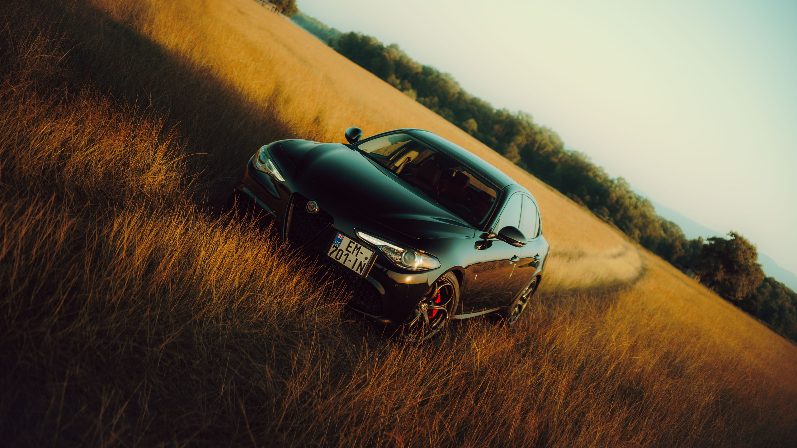 Alfa Romeo. Merabi Eminashvili