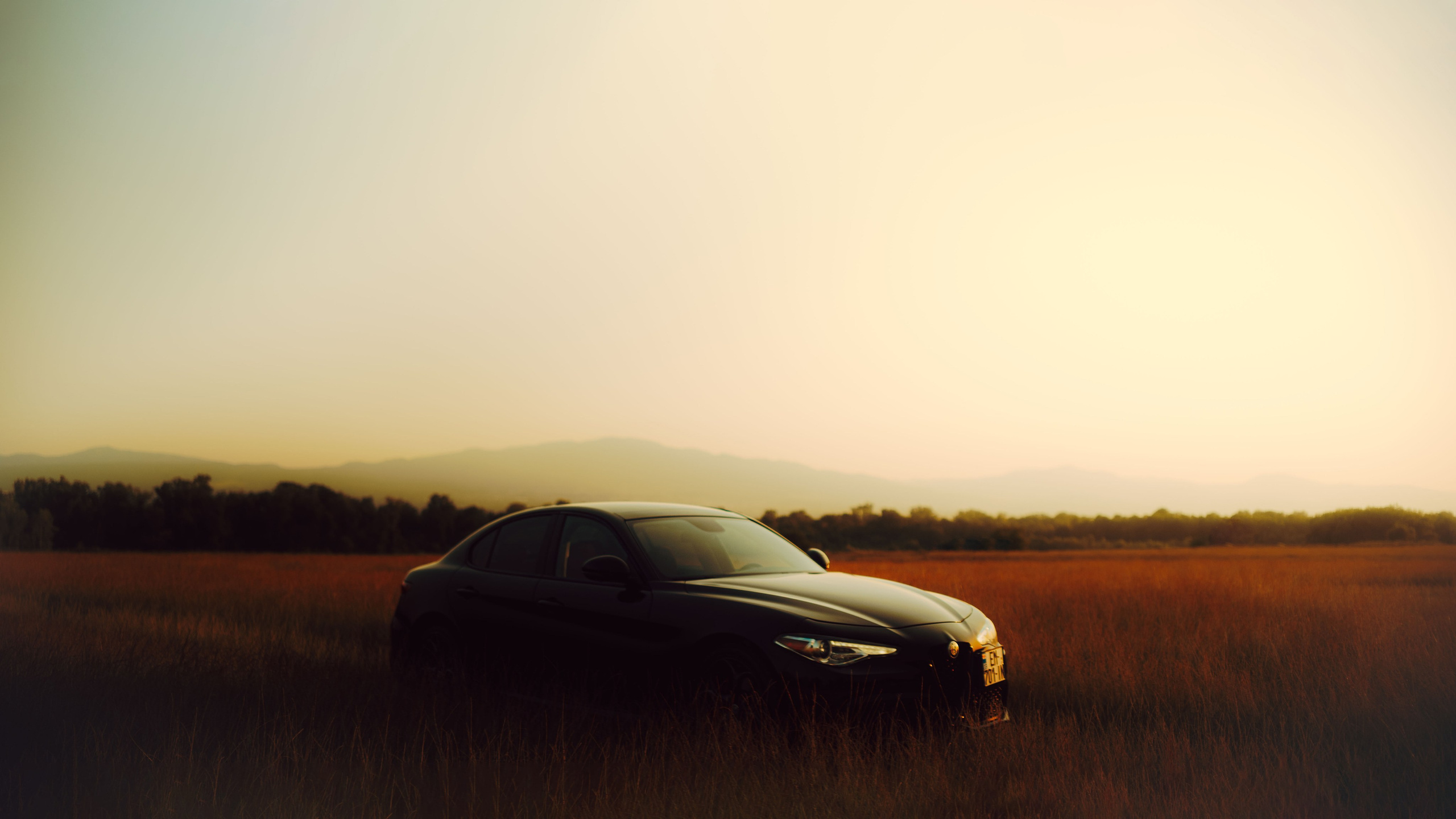 Alfa Romeo. Merabi Eminashvili