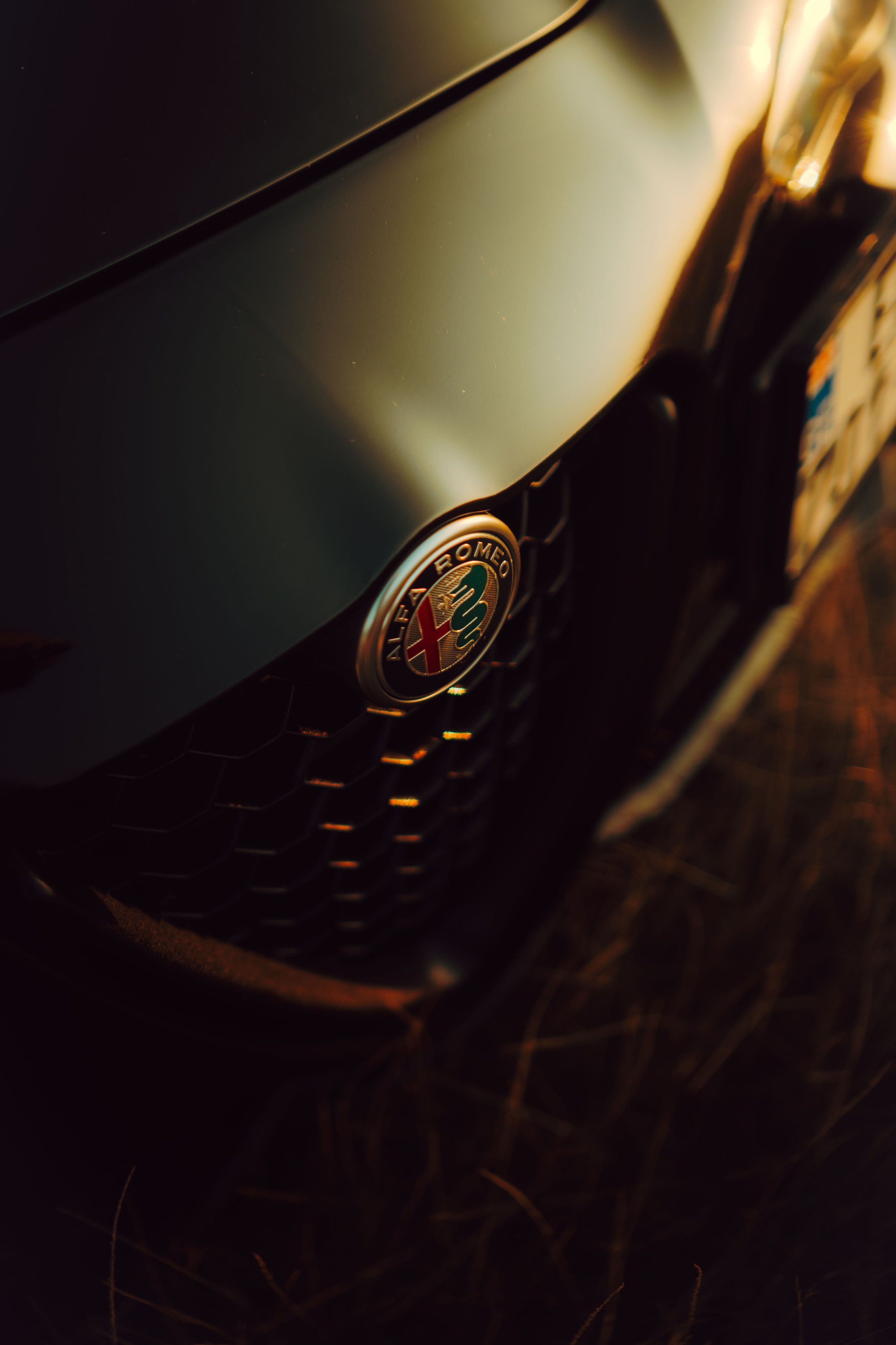 Alfa Romeo. Merabi Eminashvili