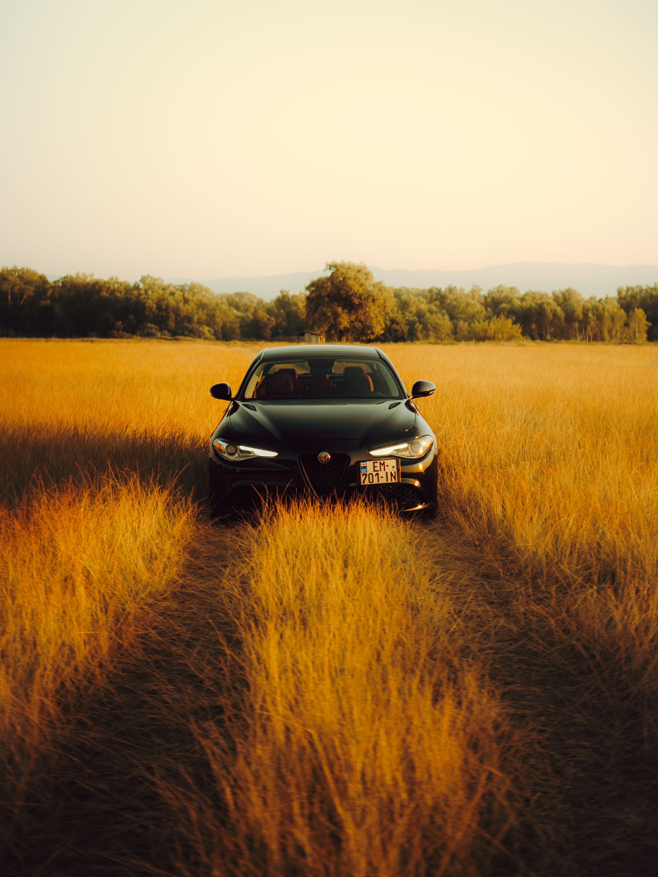 Alfa Romeo. Merabi Eminashvili