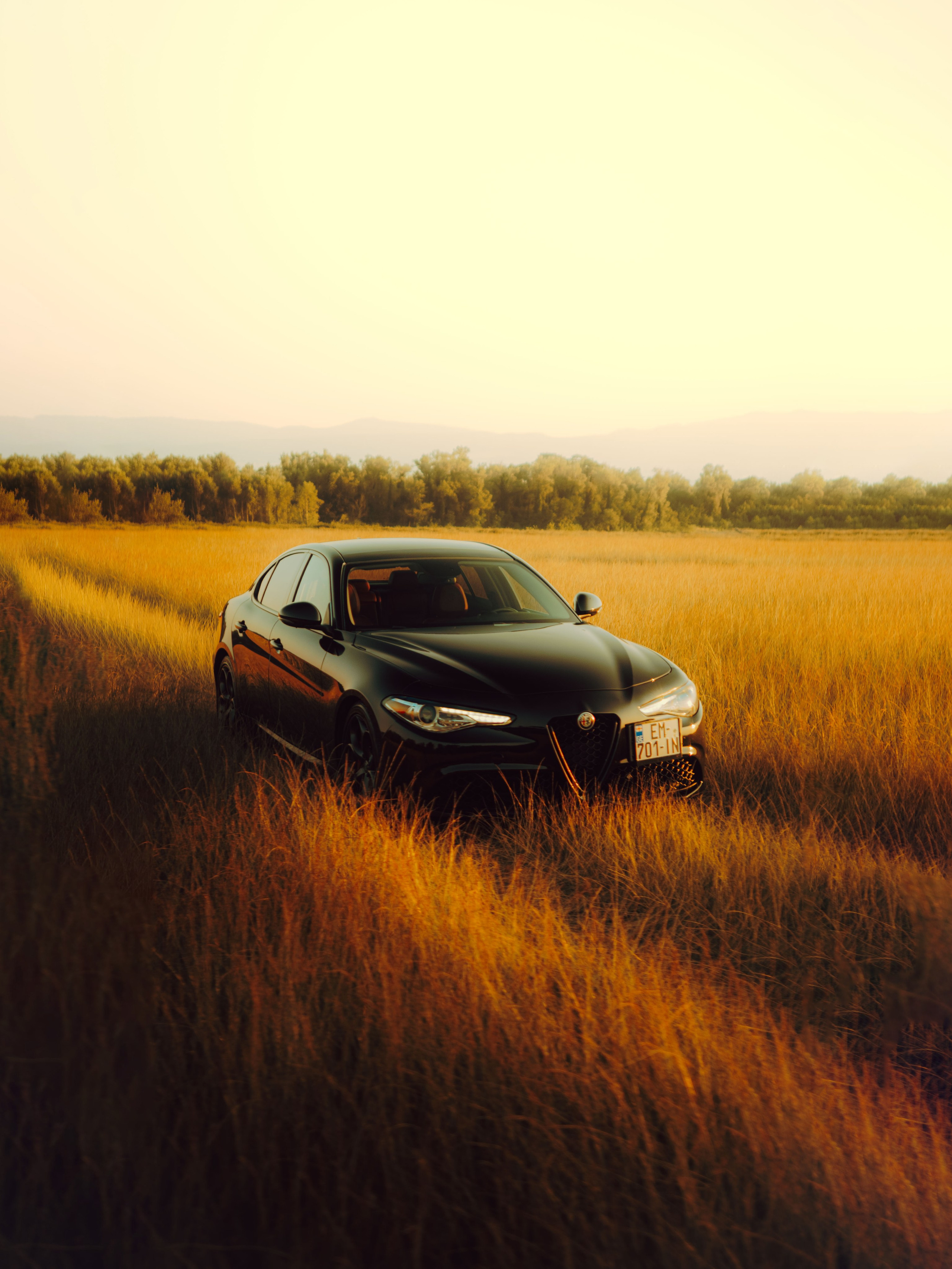 Alfa Romeo. Merabi Eminashvili