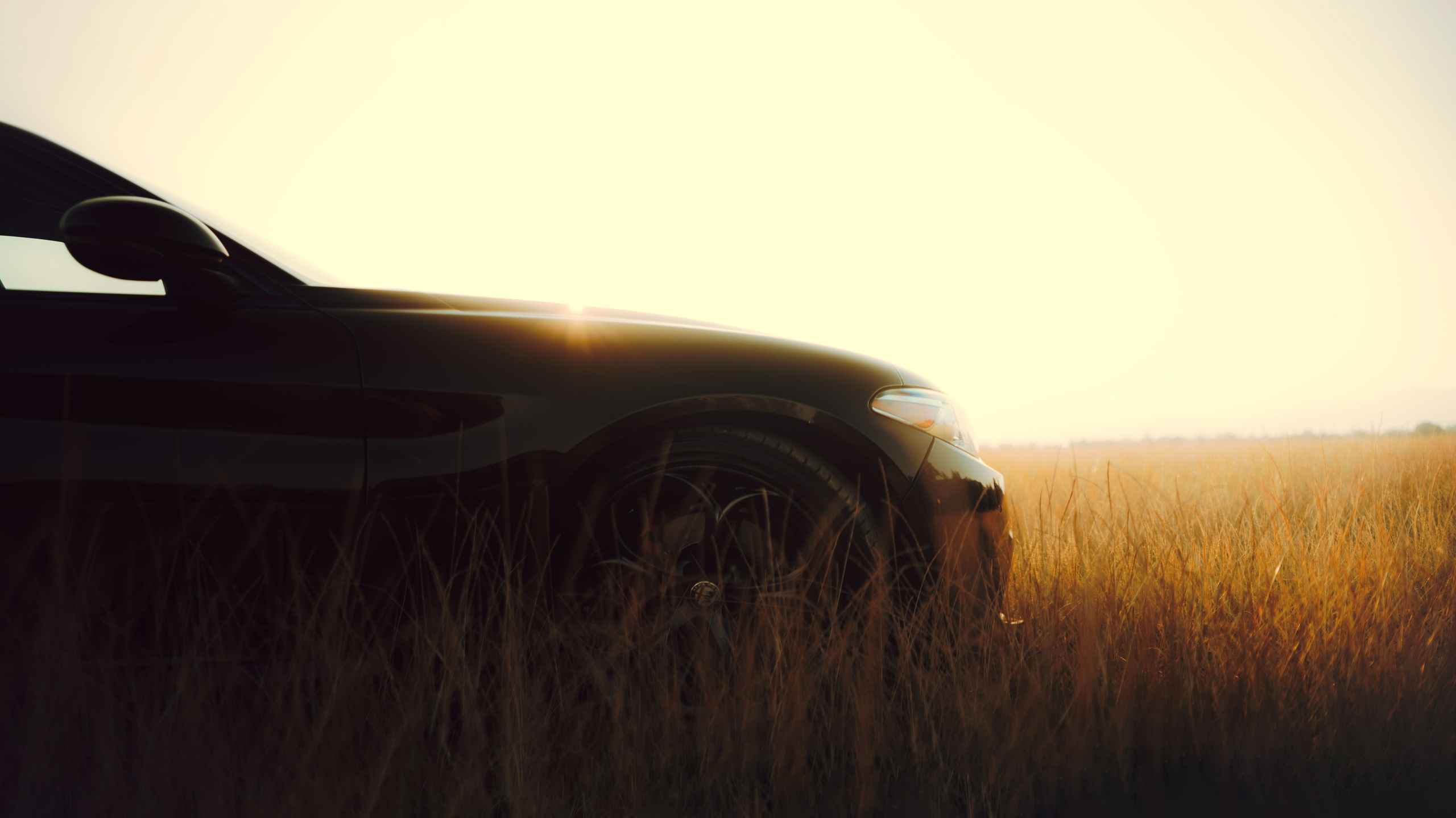 Alfa Romeo. Merabi Eminashvili
