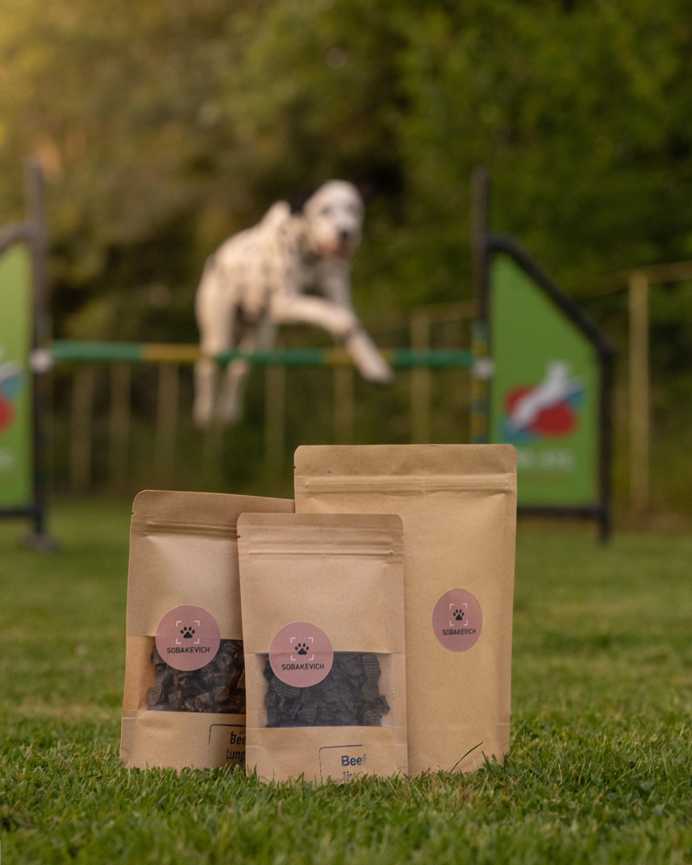 Commercial & UGC Pet Product Photography by Tanya Asfir. Tanya Asfir — Pet & Animal Photographer | Belgrade, Serbia