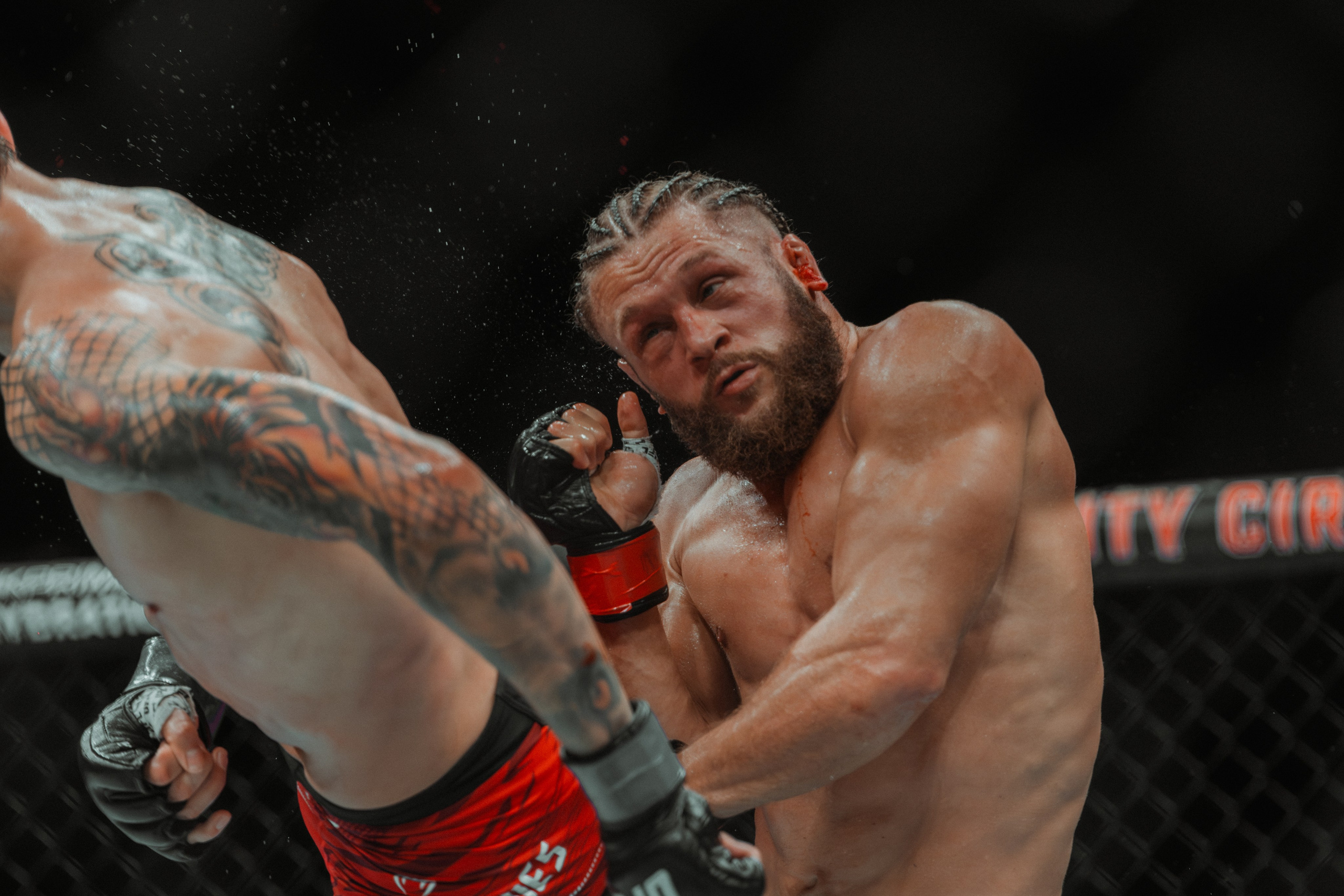 UFC. Commercial and Event photographer Eltaj