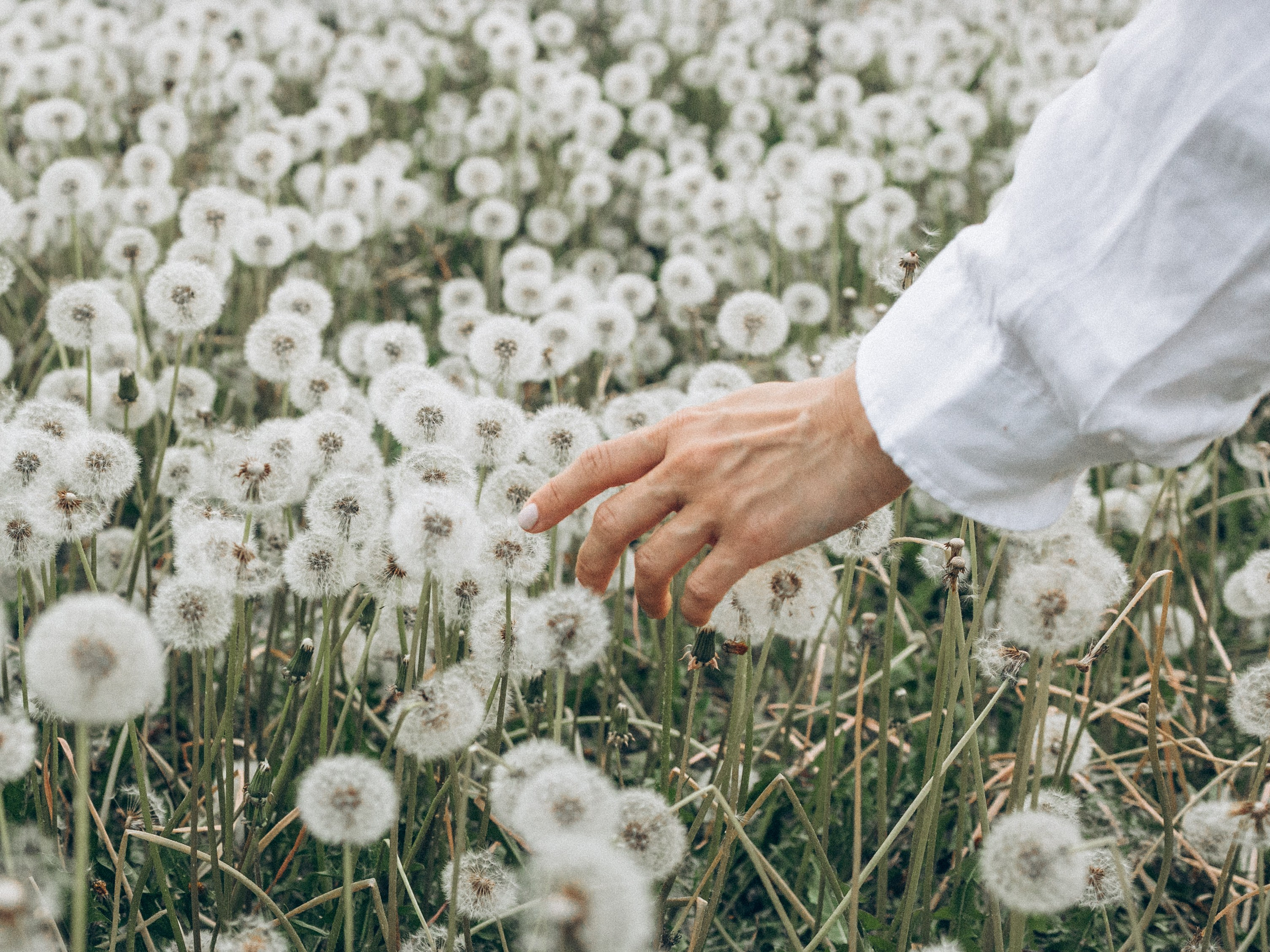 Masha A. Kristina, portrait and family photographer in Helsinki