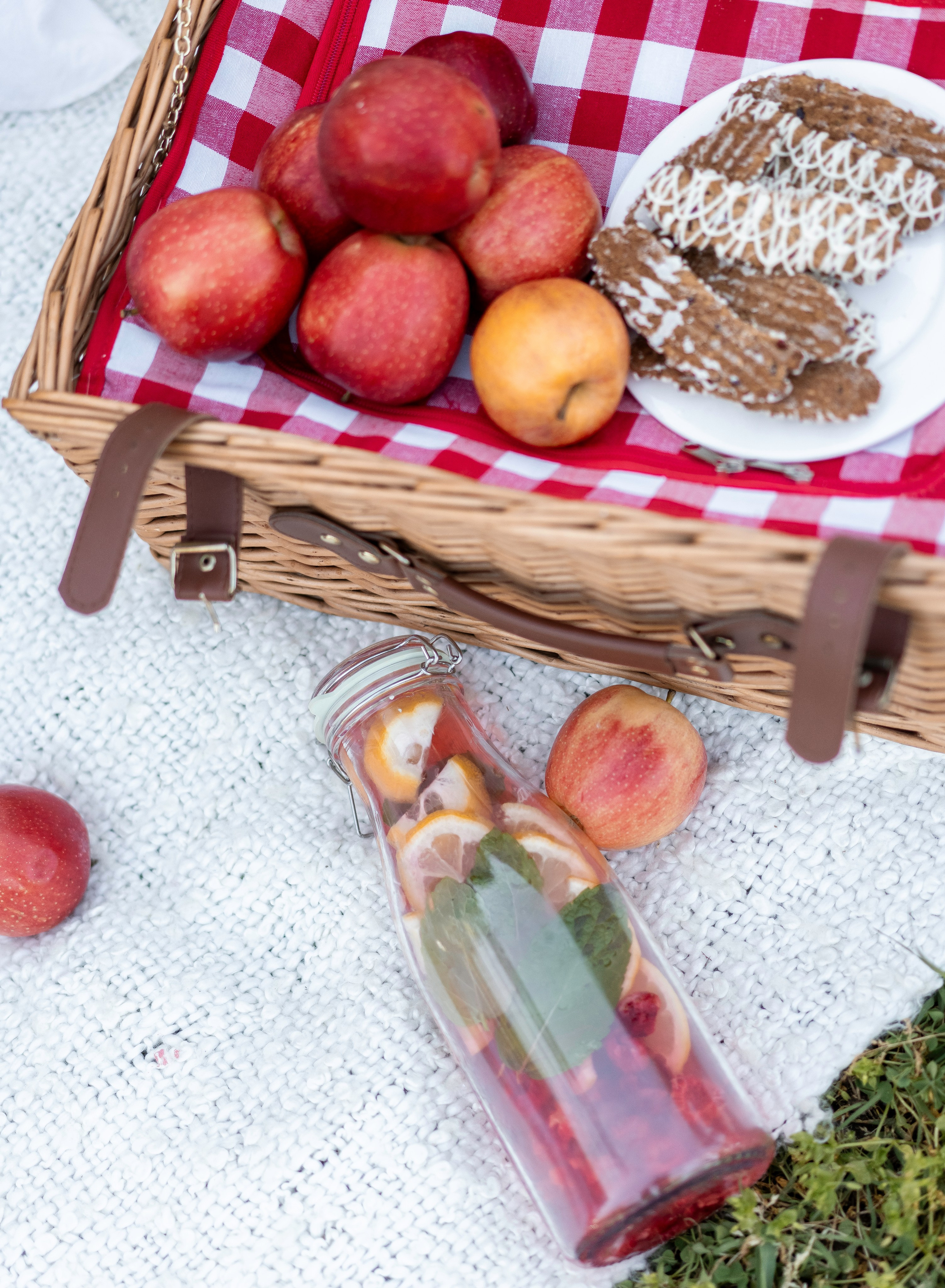 Beshta family. Family photographer in Sacramento | Sofia Pavenko