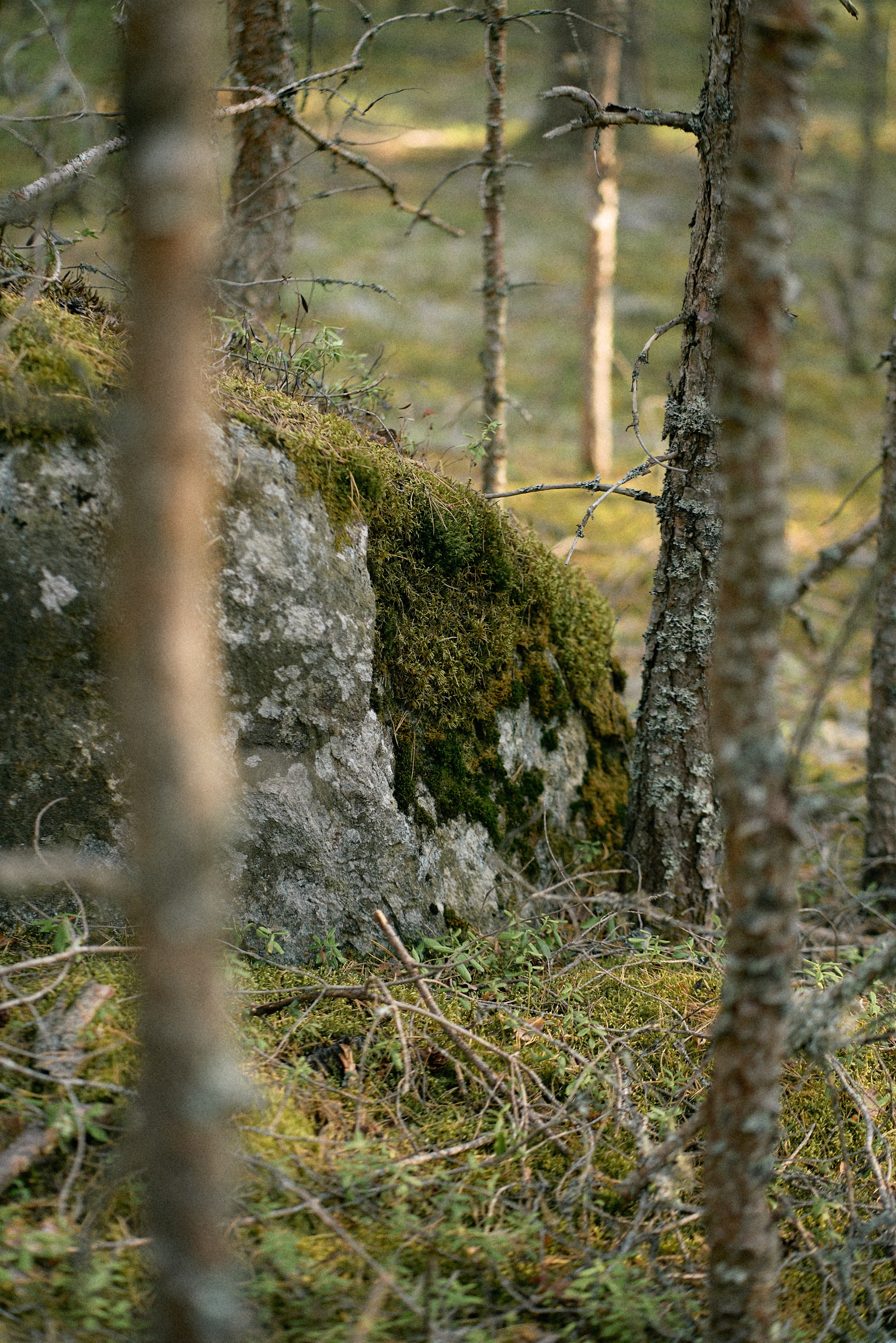 Reverse Race 2021 #cycling. Photographer Evgeniya Dovgalyuk