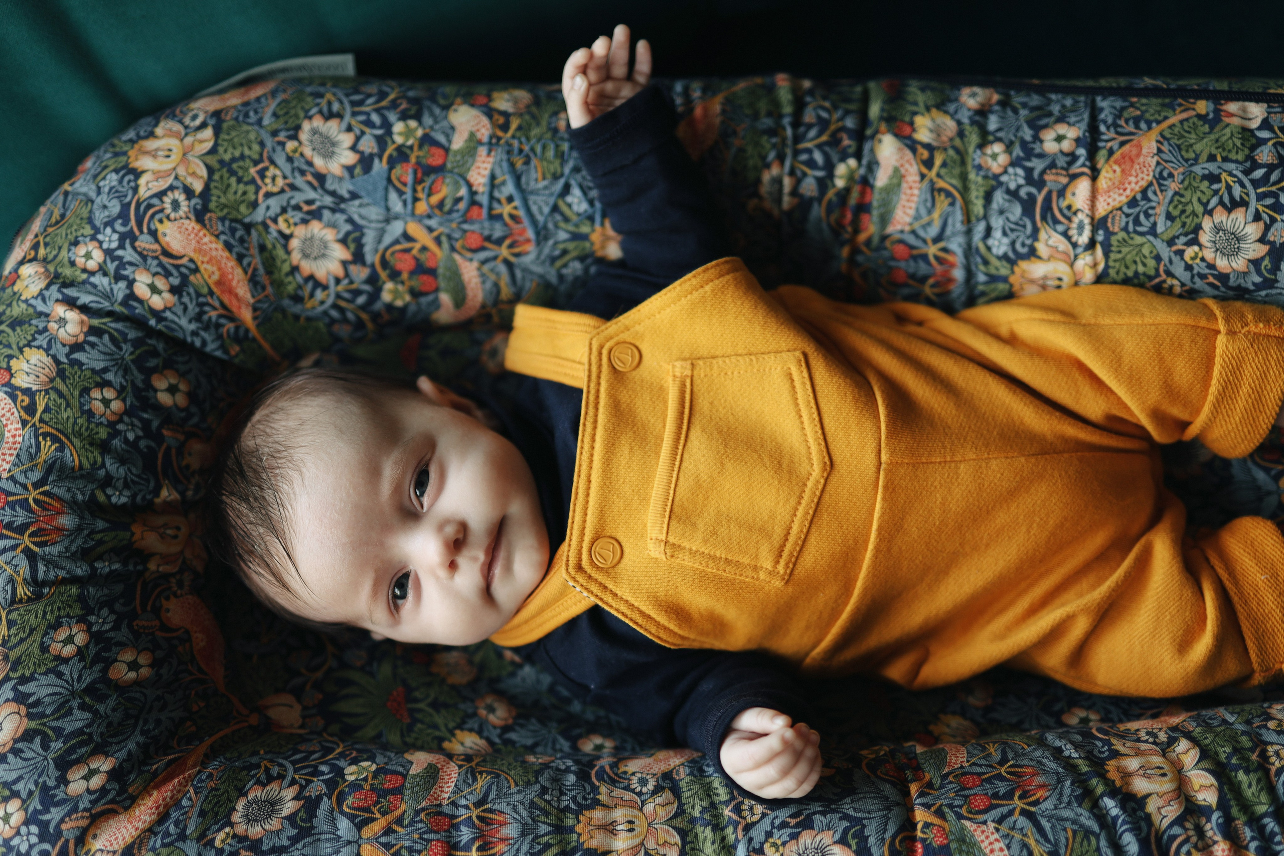 Robin. Newborn and Family Photographer in Bromley, London, Liliya Potekhina