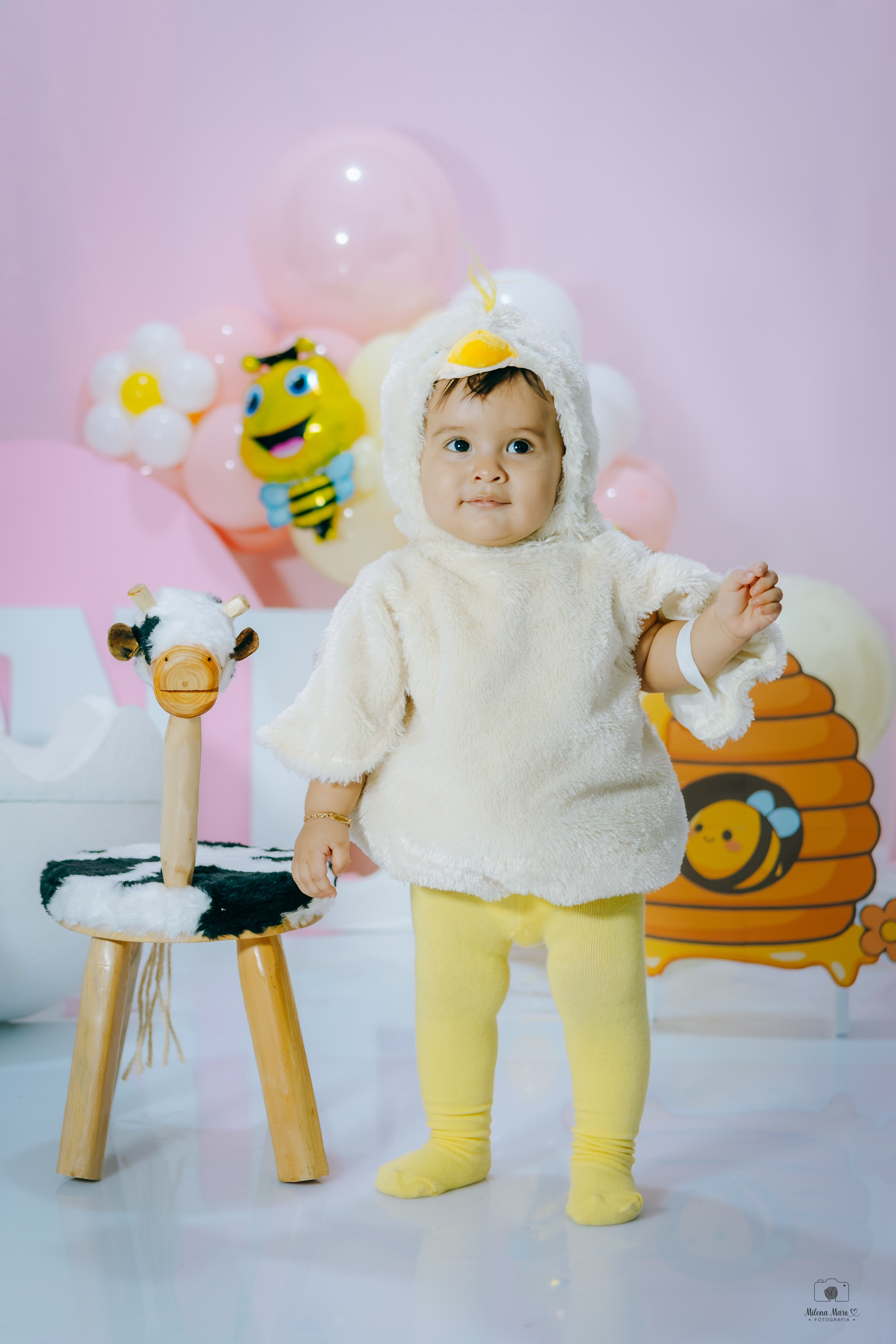 PRIMER AÑO ABEJITA. Milena Maro Fotografía: estudio profesional en Acacías, Meta. Retrato familiar, infantil, maternas, eventos y empresas
