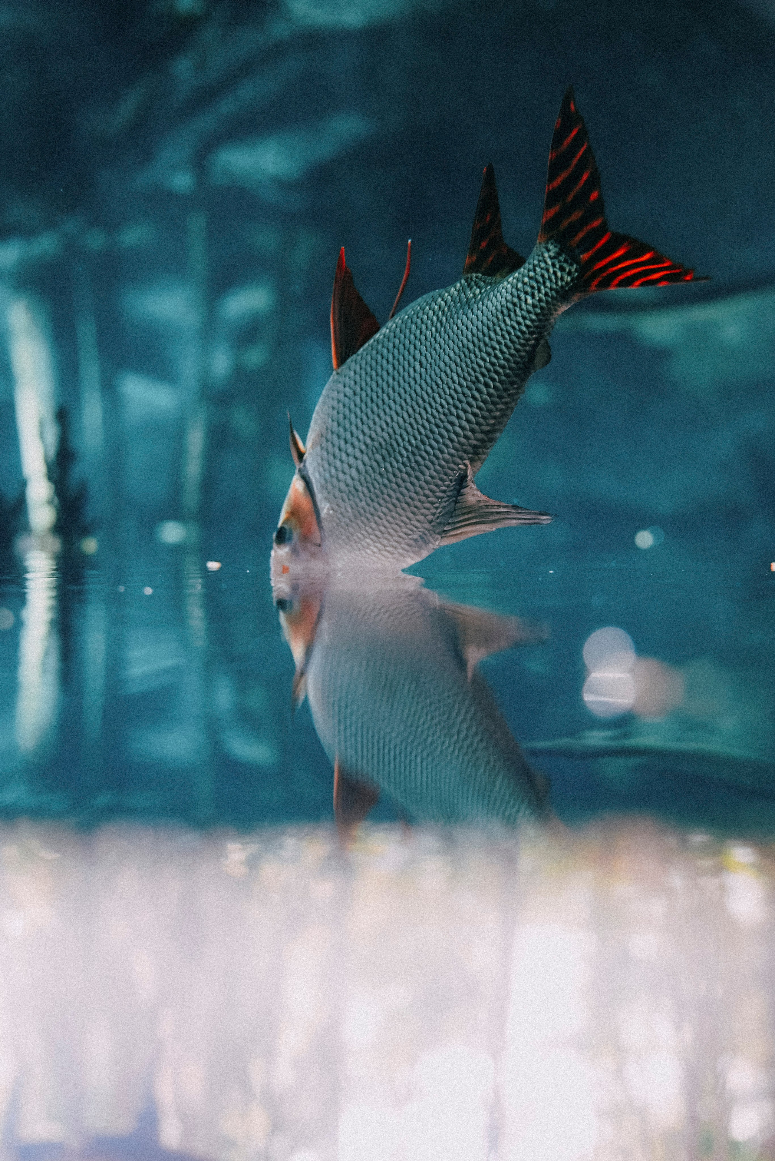 ЕВРОТУР. Стрит-фотография, полная абсурда, идиотизма и красоты