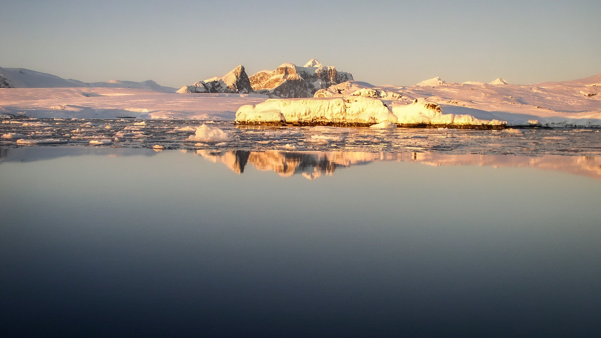 ANTARCTICA / 2004. Reportage concert portrait photography in the San Francisco Bay Area