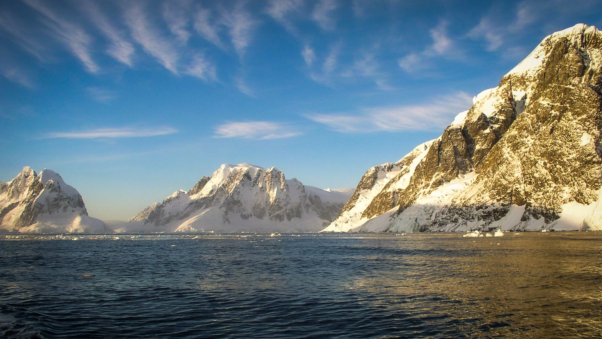 ANTARCTICA / 2004. Reportage concert portrait photography in the San Francisco Bay Area