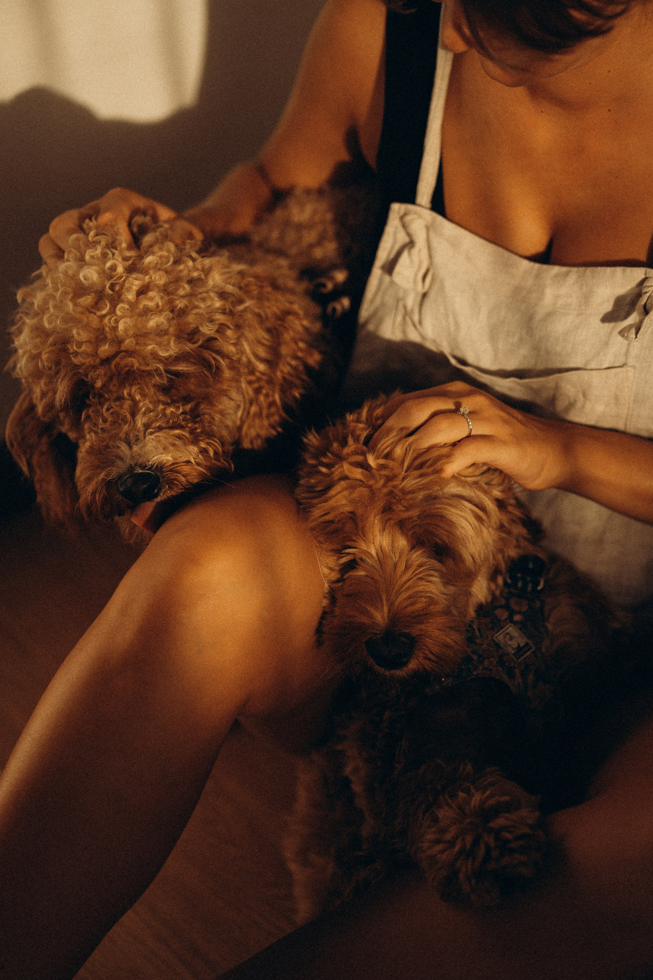 Maternity. Photographer Madeira