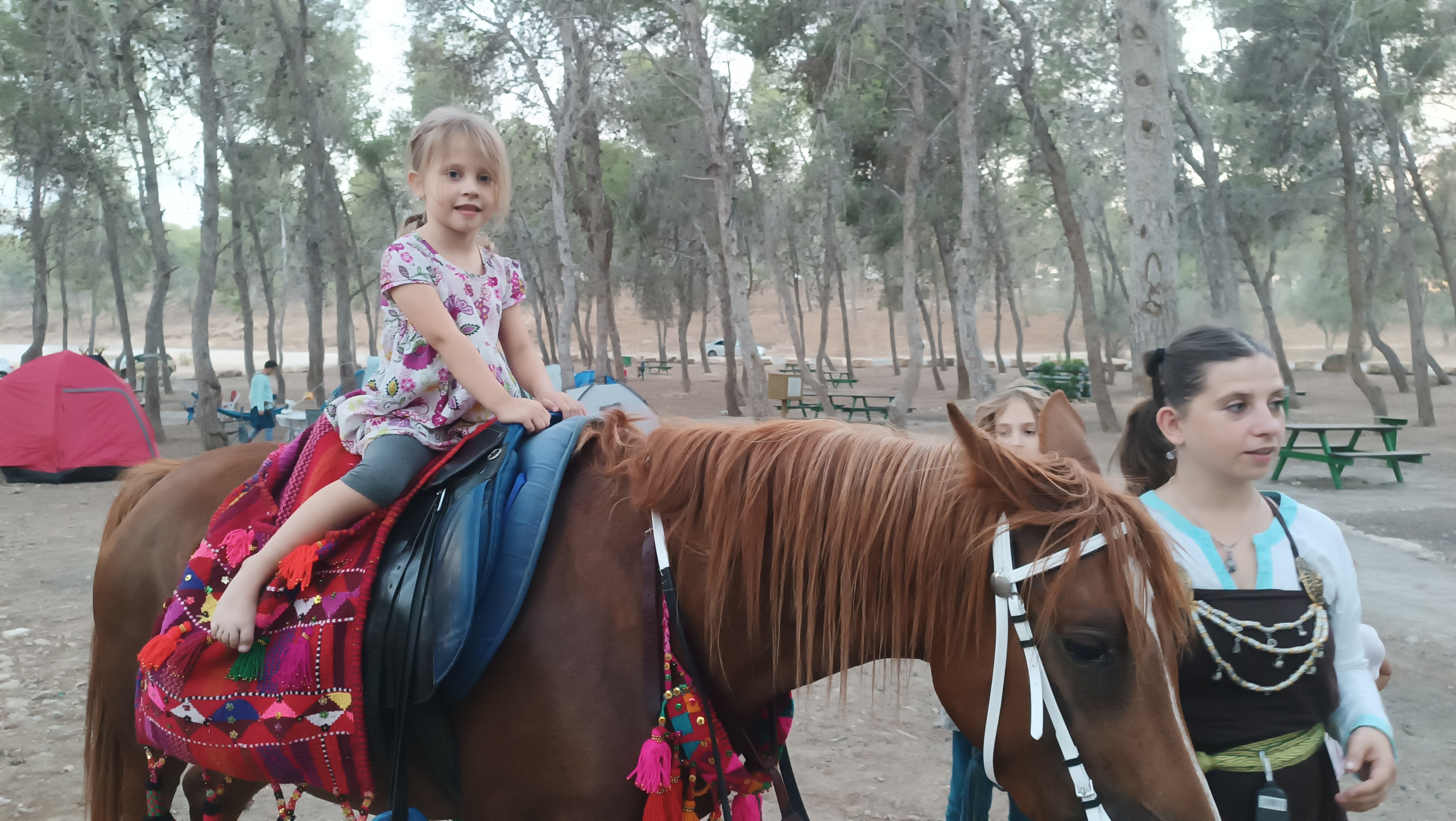 Детский поход 2023 — клуб Нортман | реконструкция, игры, приключения. КРиС «Нортман»