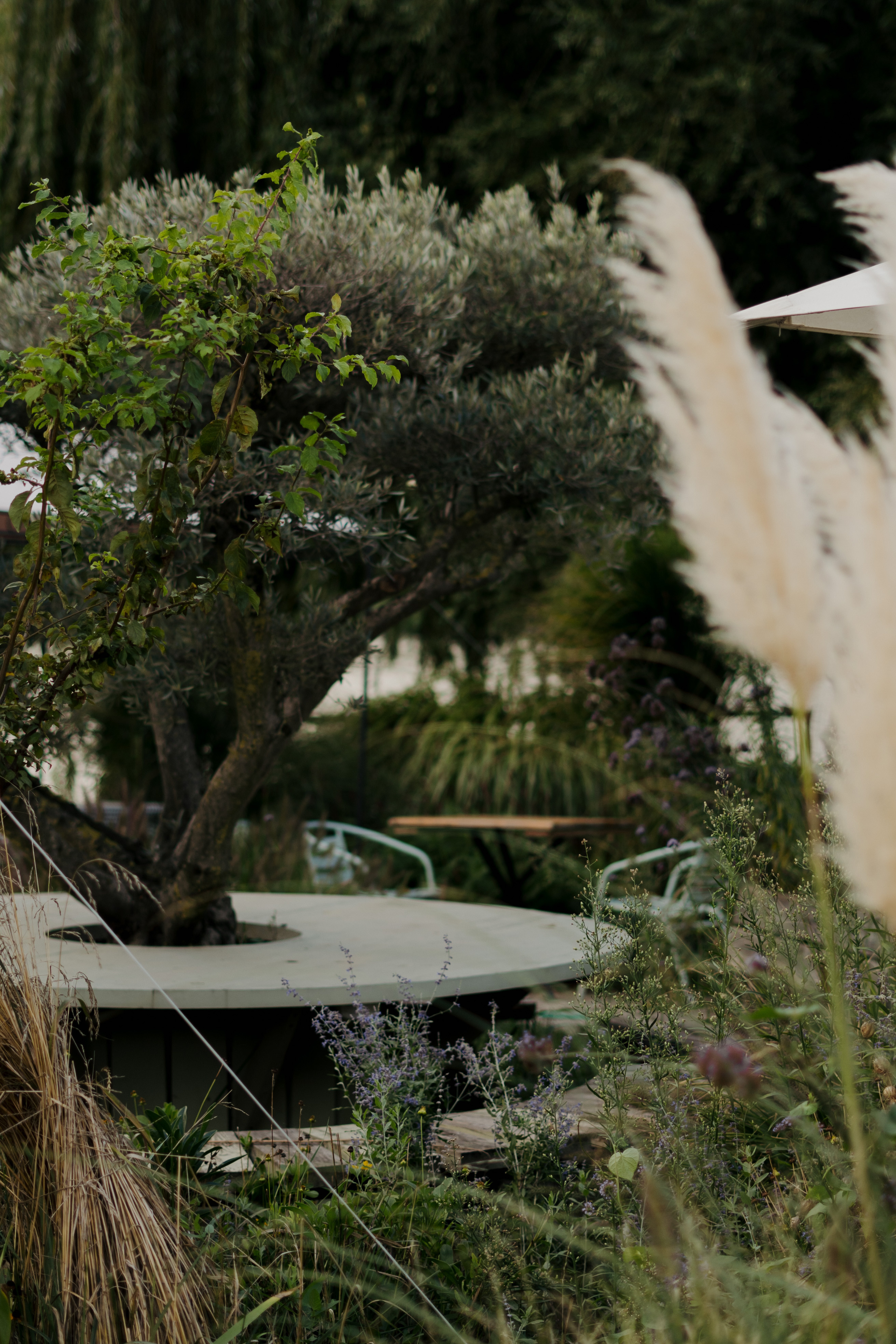 Anna & Dmitry. VALERIYA ERMOLAEVA PHOTOGRAPHER IN VALENCIA, SPAIN