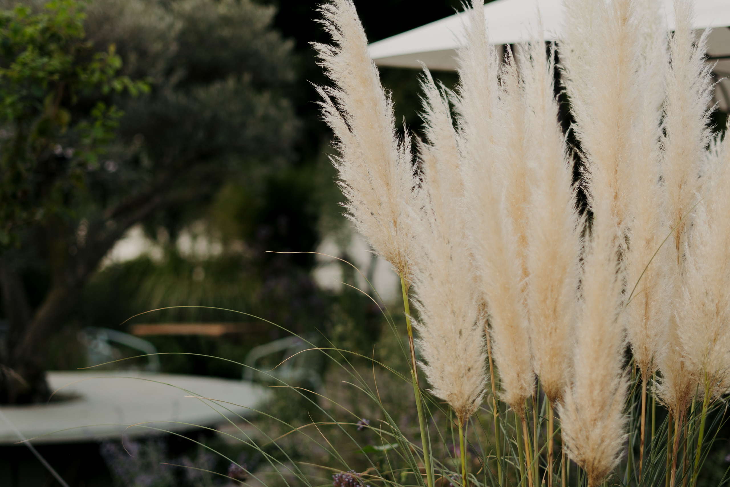 Anna & Dmitry. VALERIYA ERMOLAEVA PHOTOGRAPHER IN VALENCIA, SPAIN