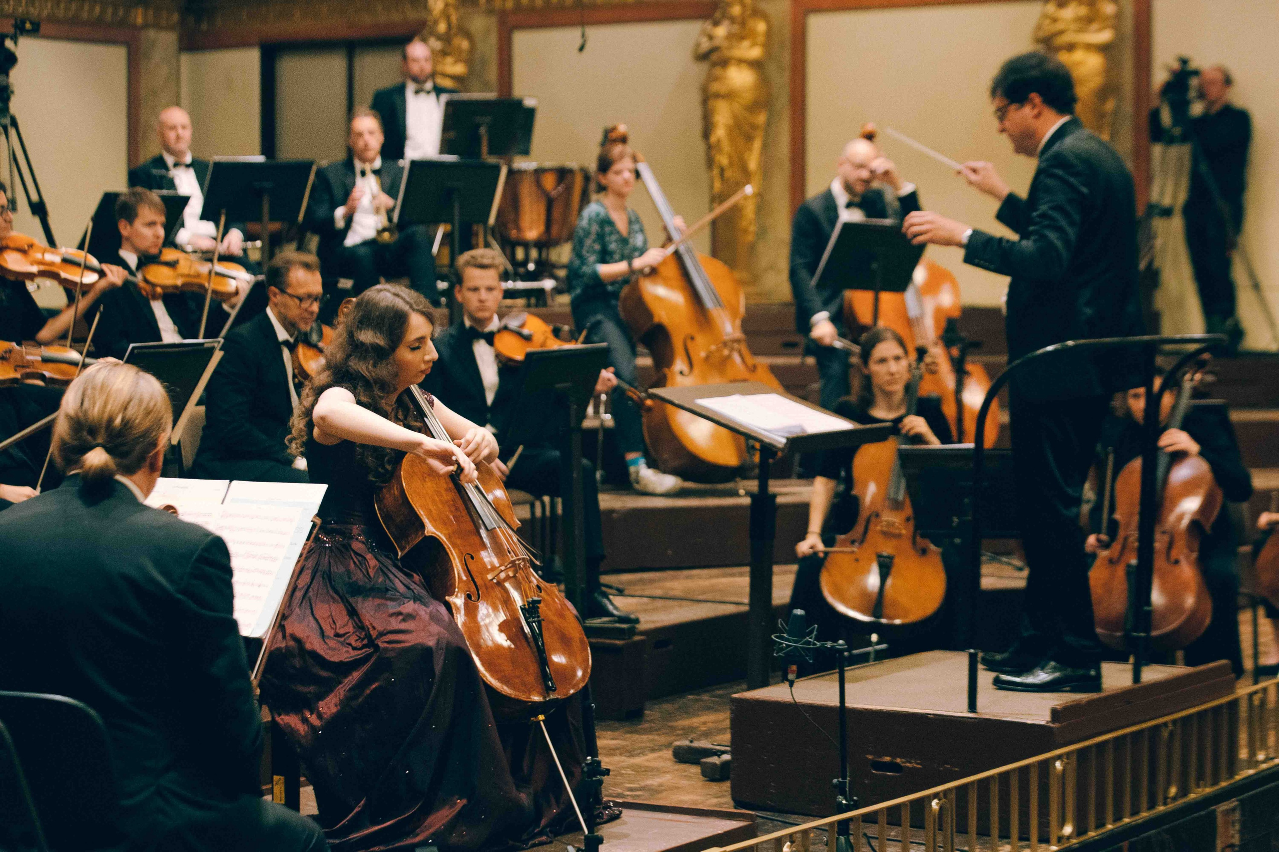 MUSIKVEREIN (VIENNA). Wedding&Event photographer Ismail Rzayev in Baku